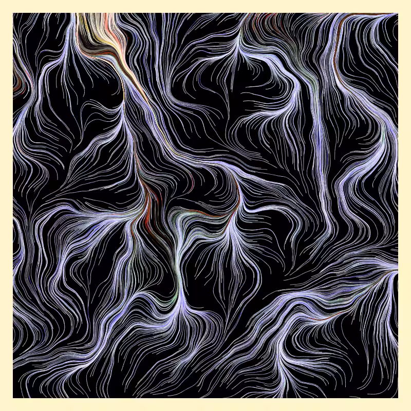 Roots #6