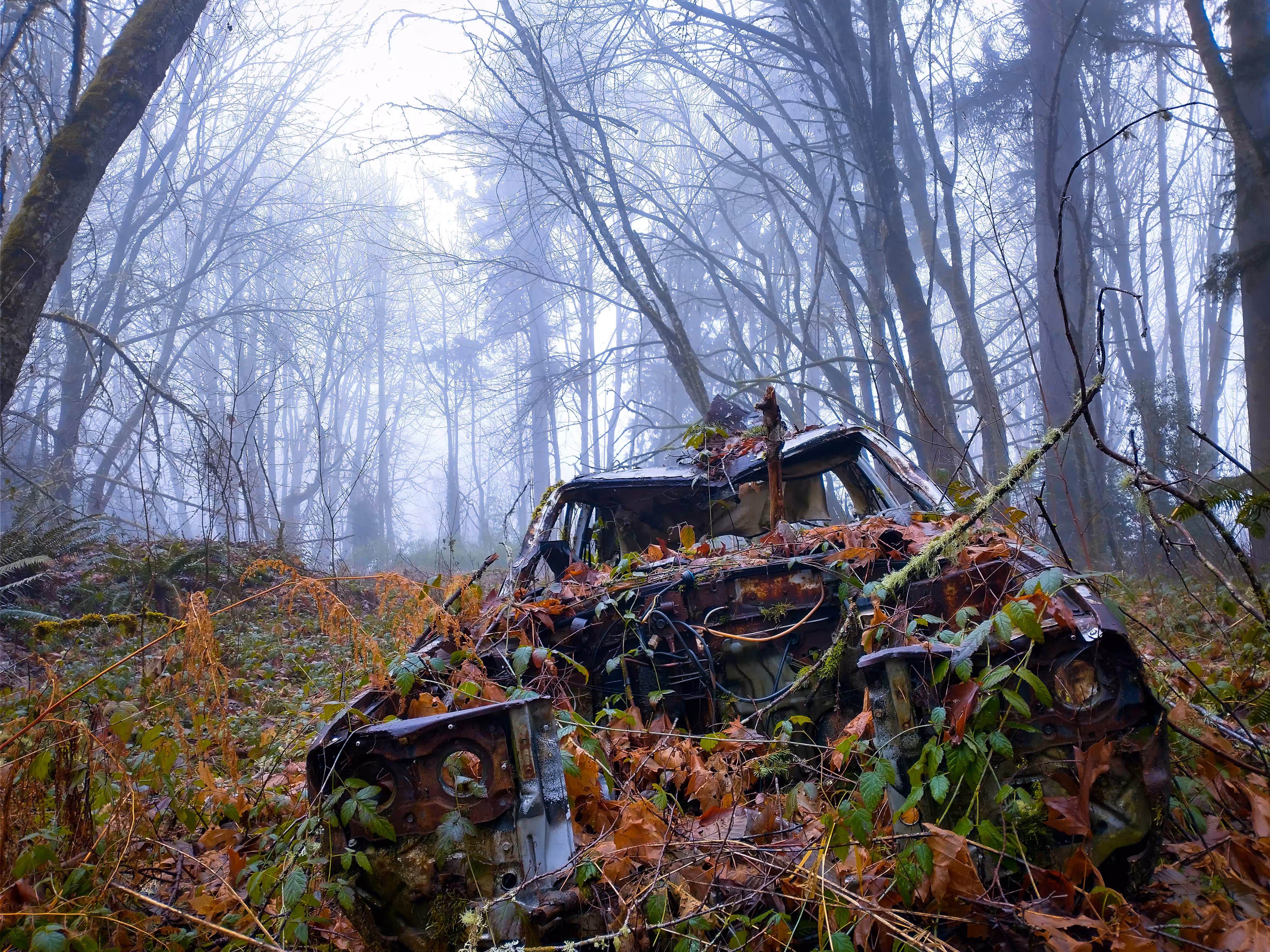 Car Compost 