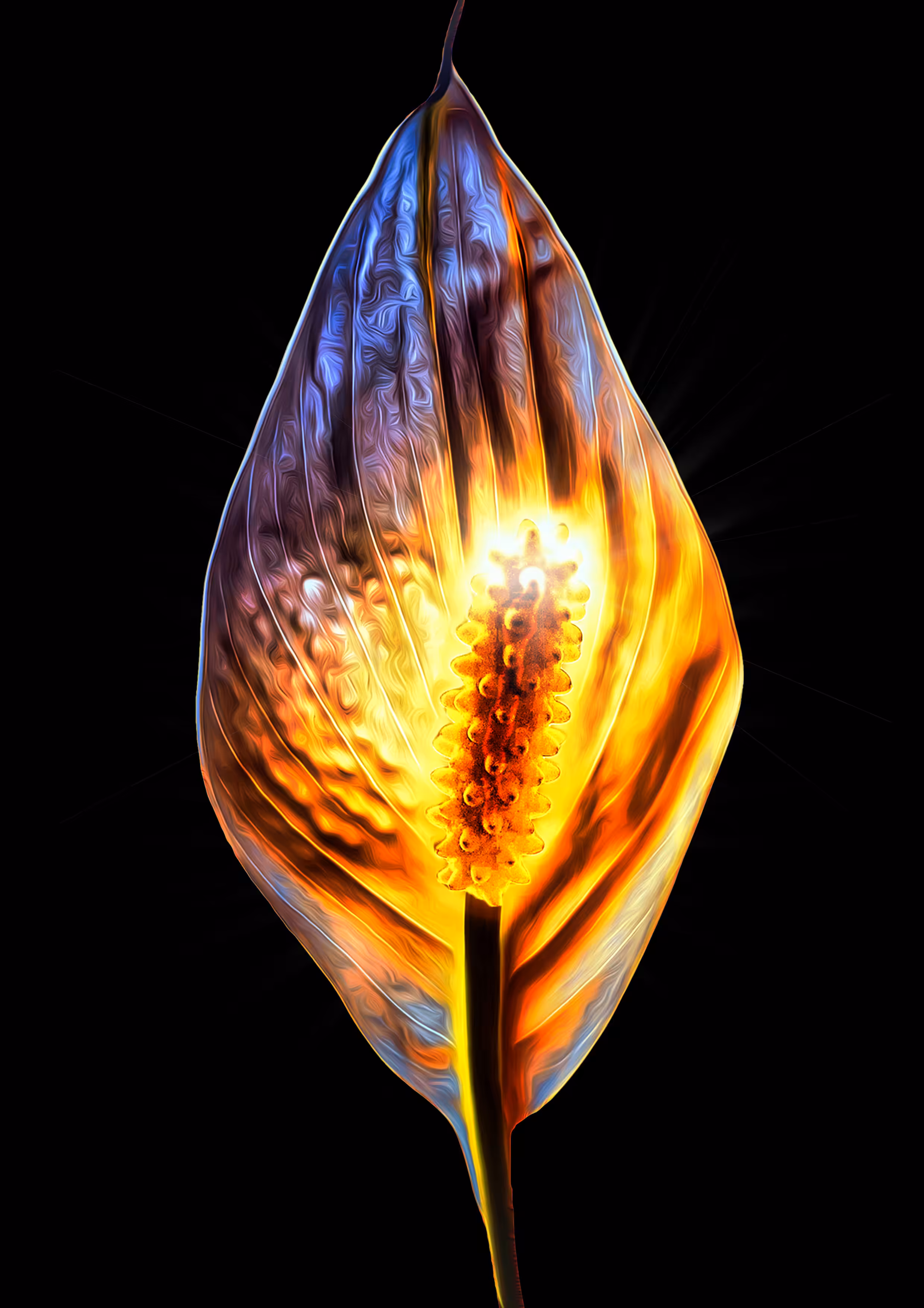 Primary Nature Minimal 12