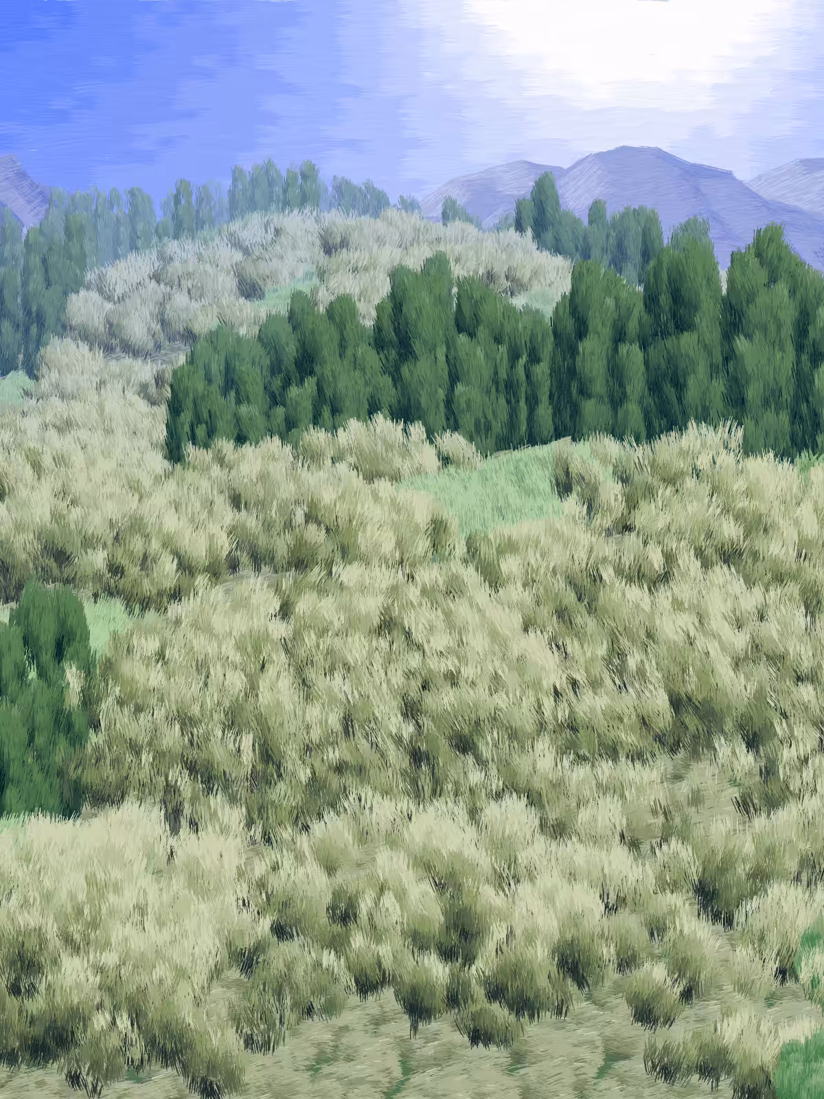 Provence #250