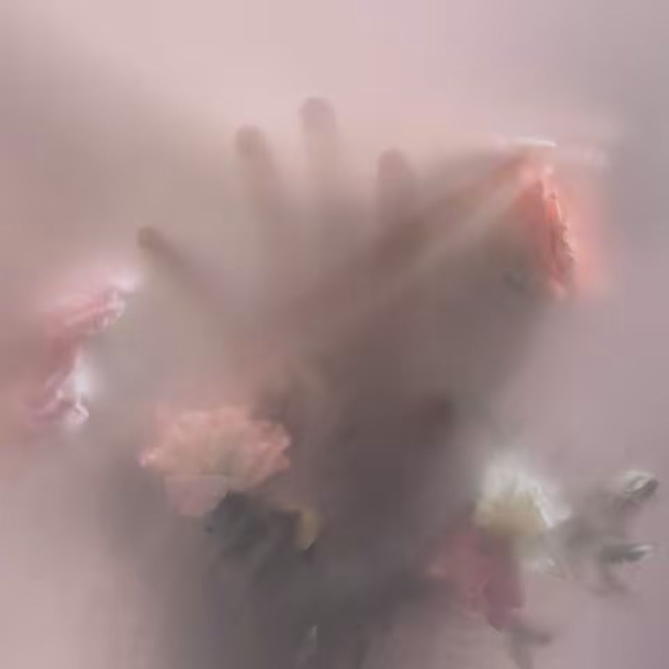 Delicacy Bloom