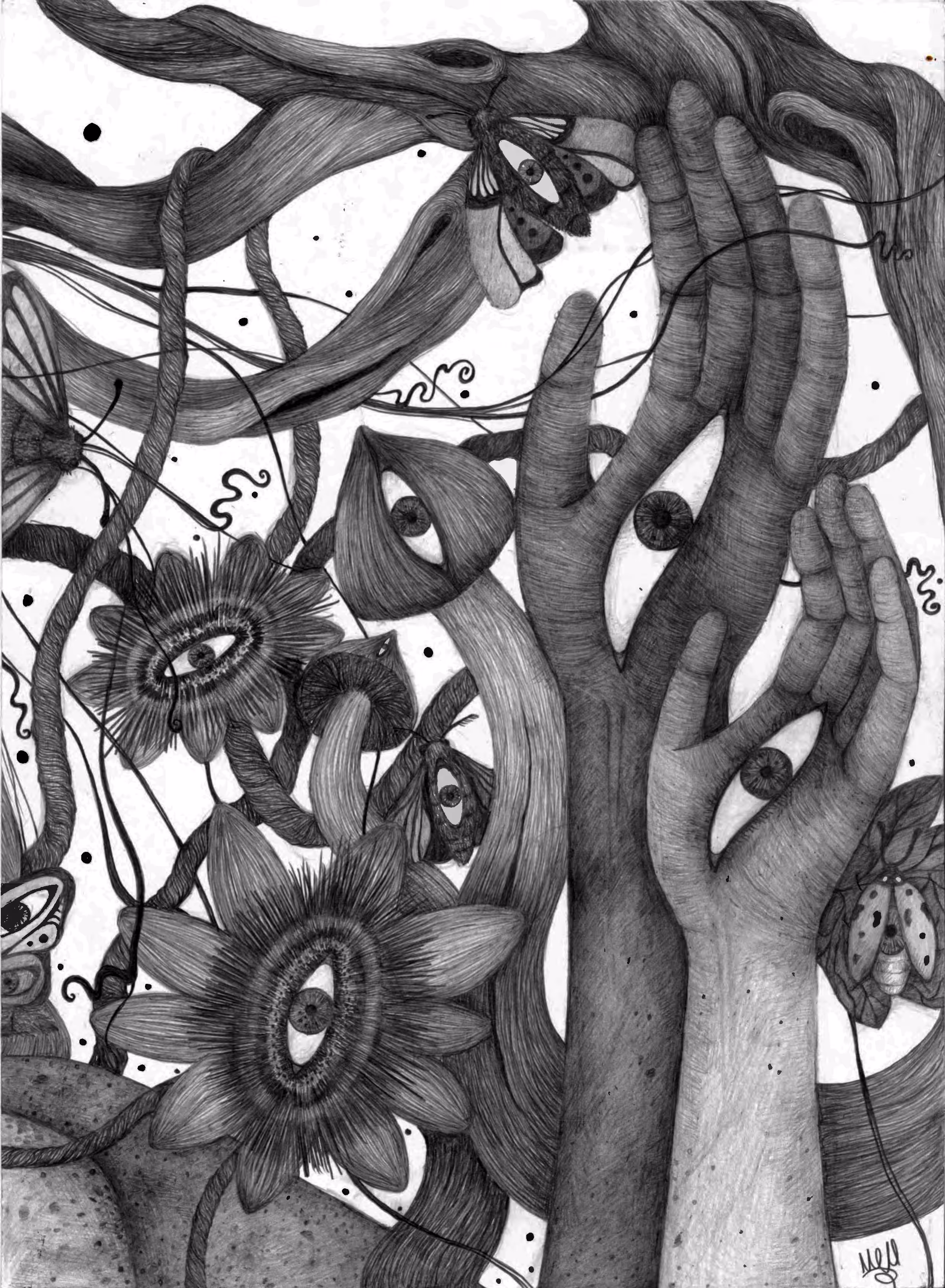 The enchanted forest, piece 2
