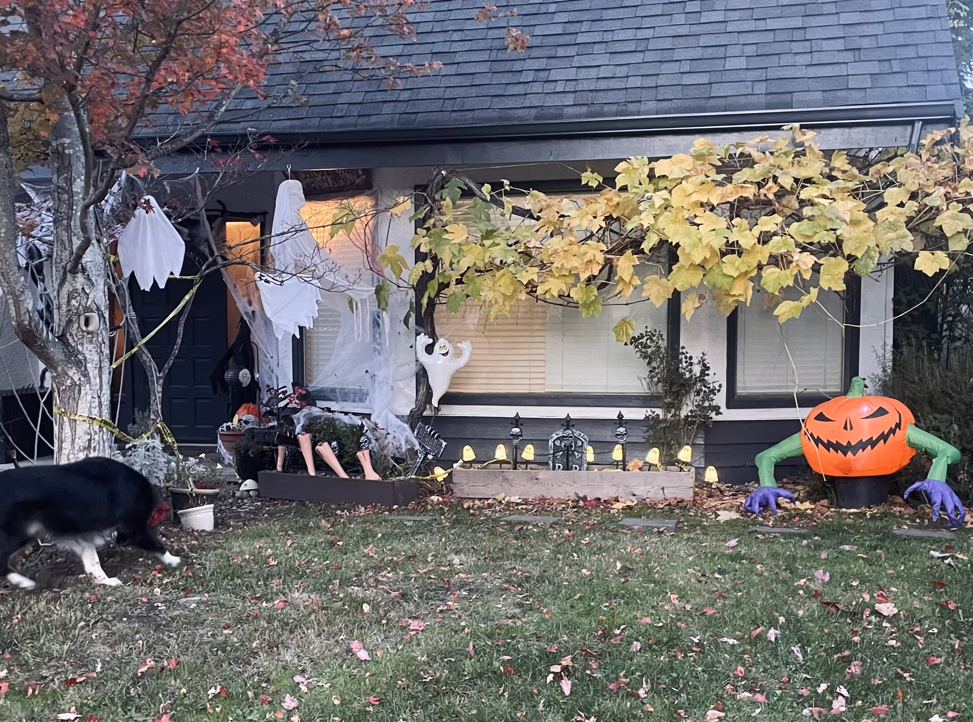 Halloween 2023