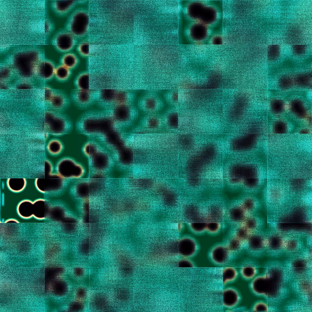 Bacterias #24