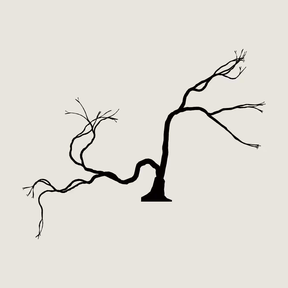 gnarly tree #26