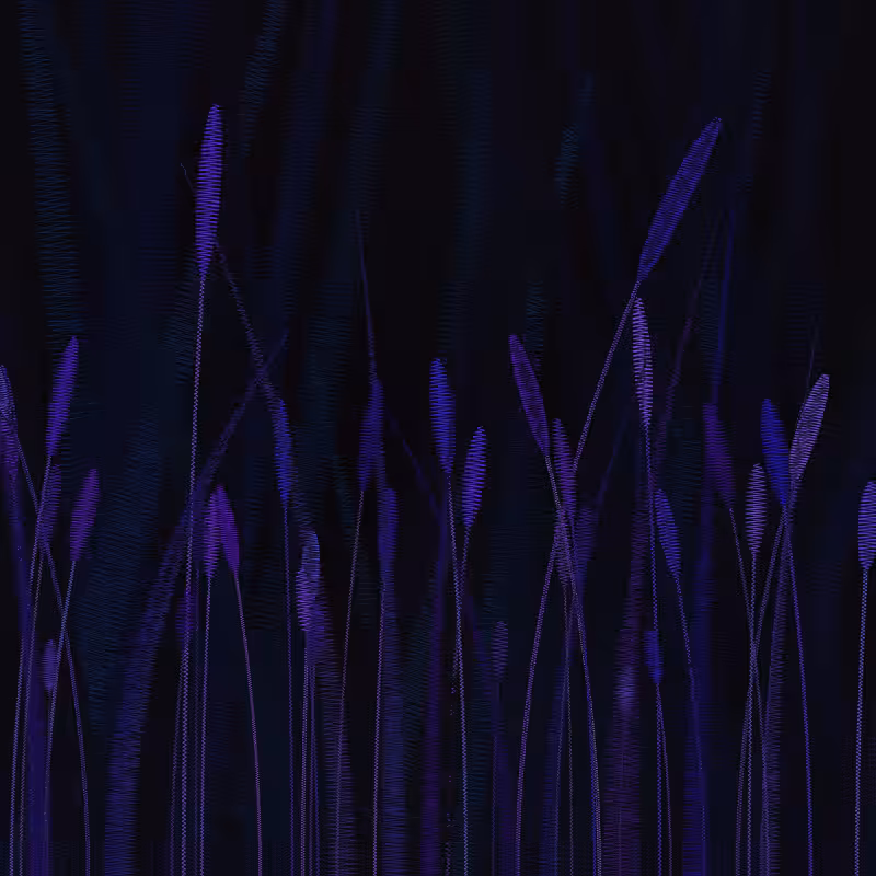 ZigZag Garden #102