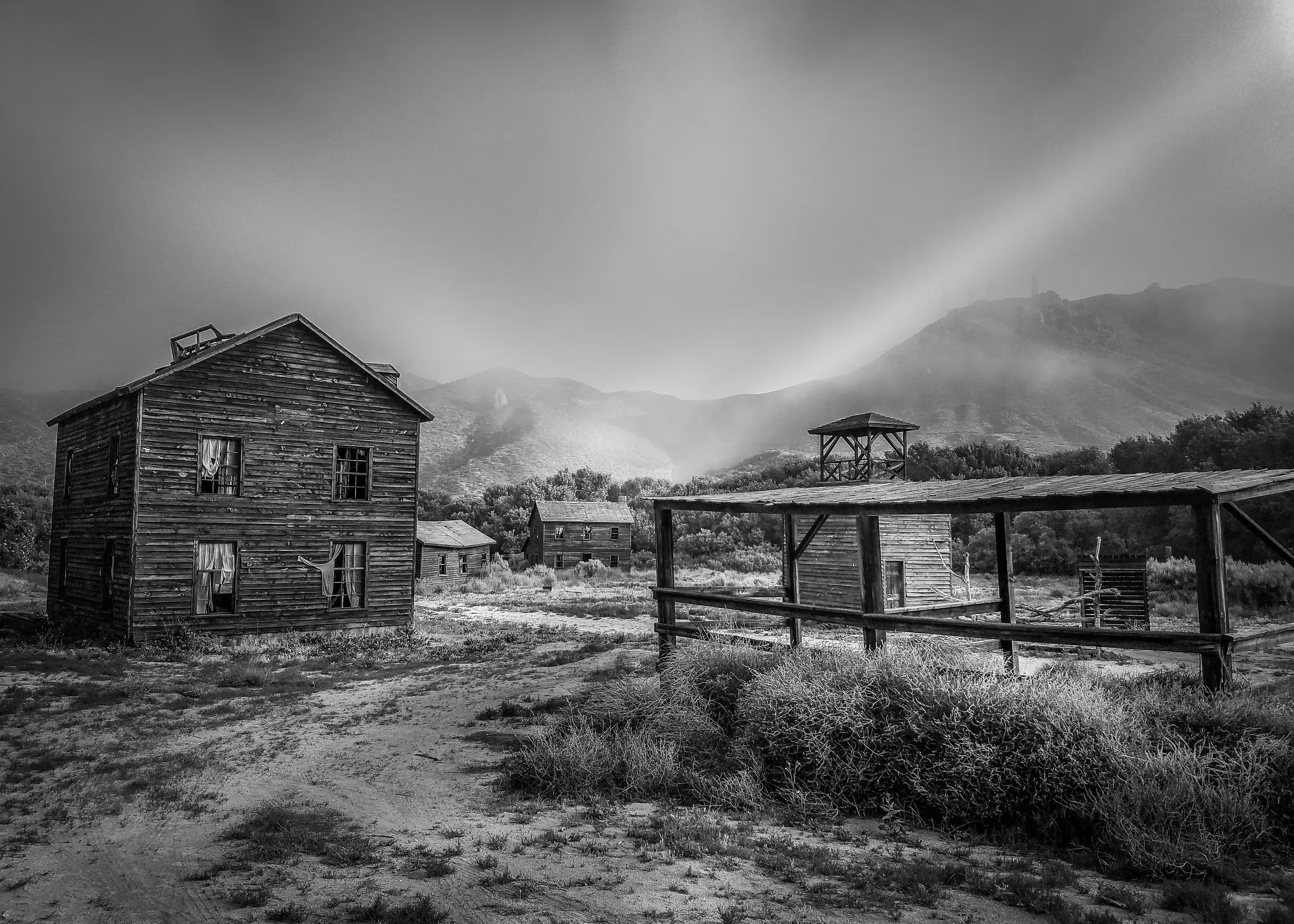 Lily White Black & White: Pioneer's Reminiscence of the Old West