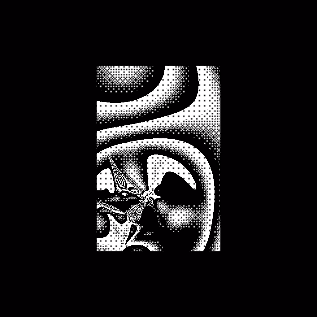 What Draws Us #22