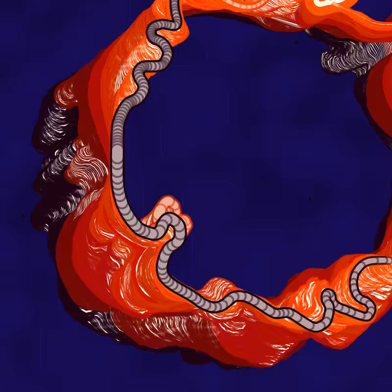 Meander River Plot v1 #8