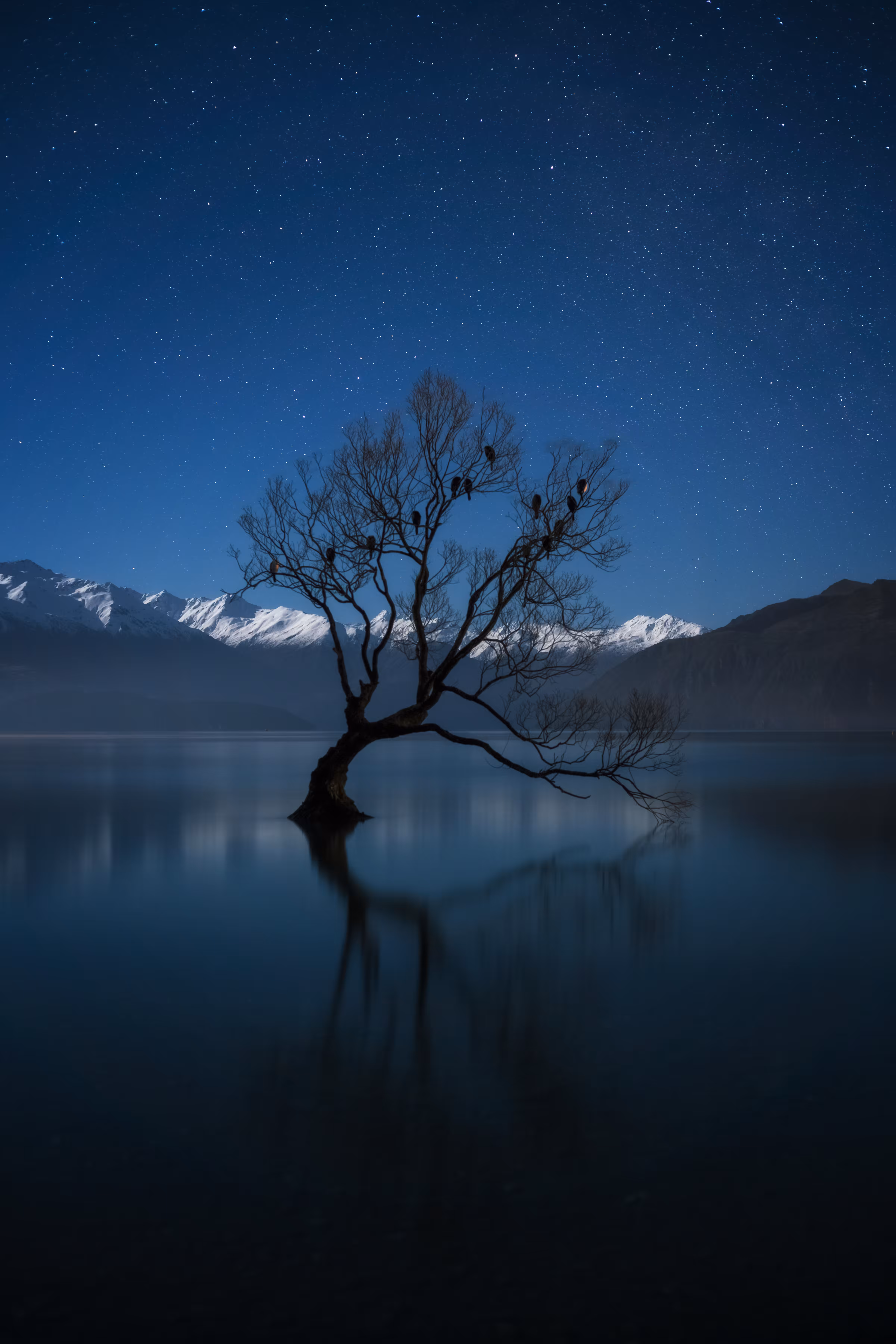 Lone, But Not Alone