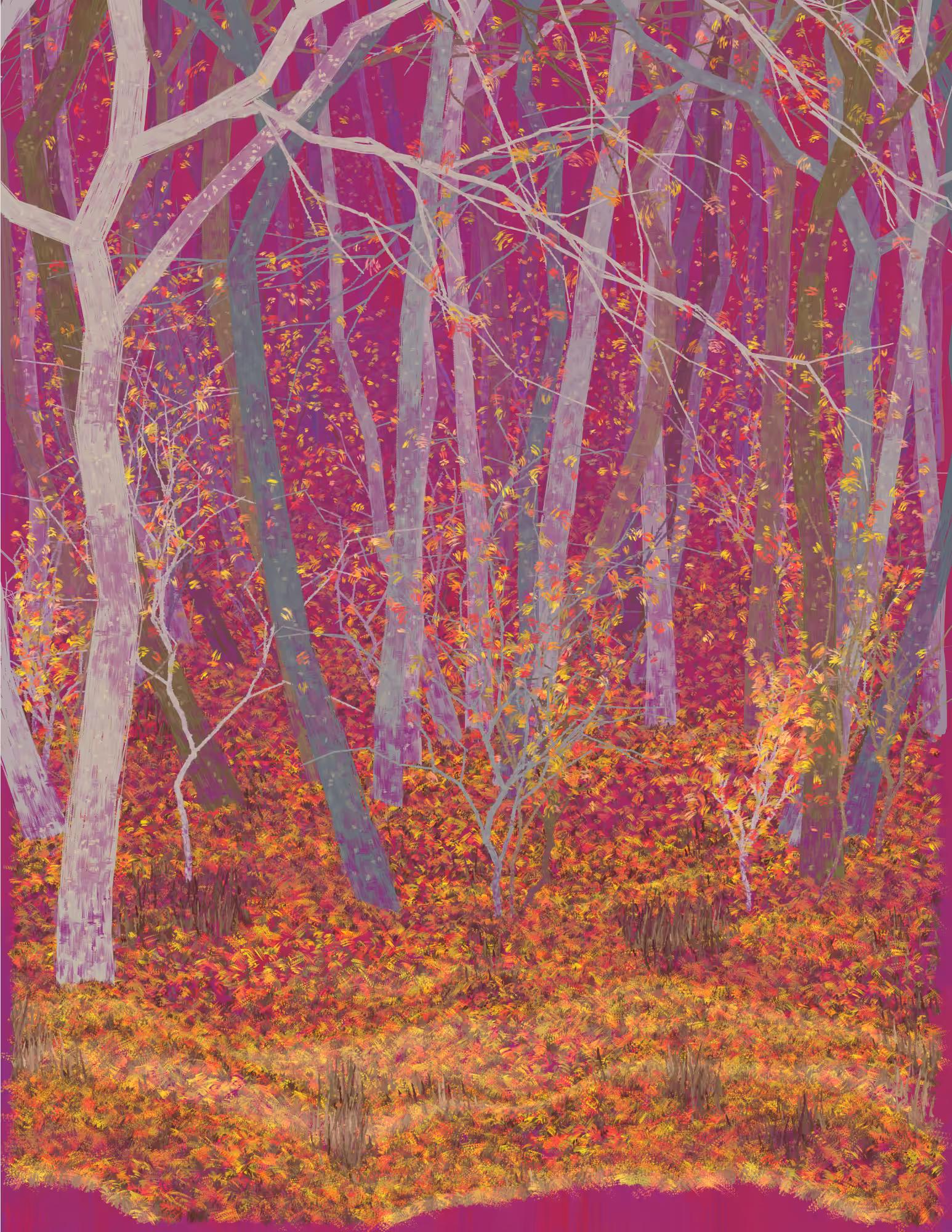 Deep Forest #20