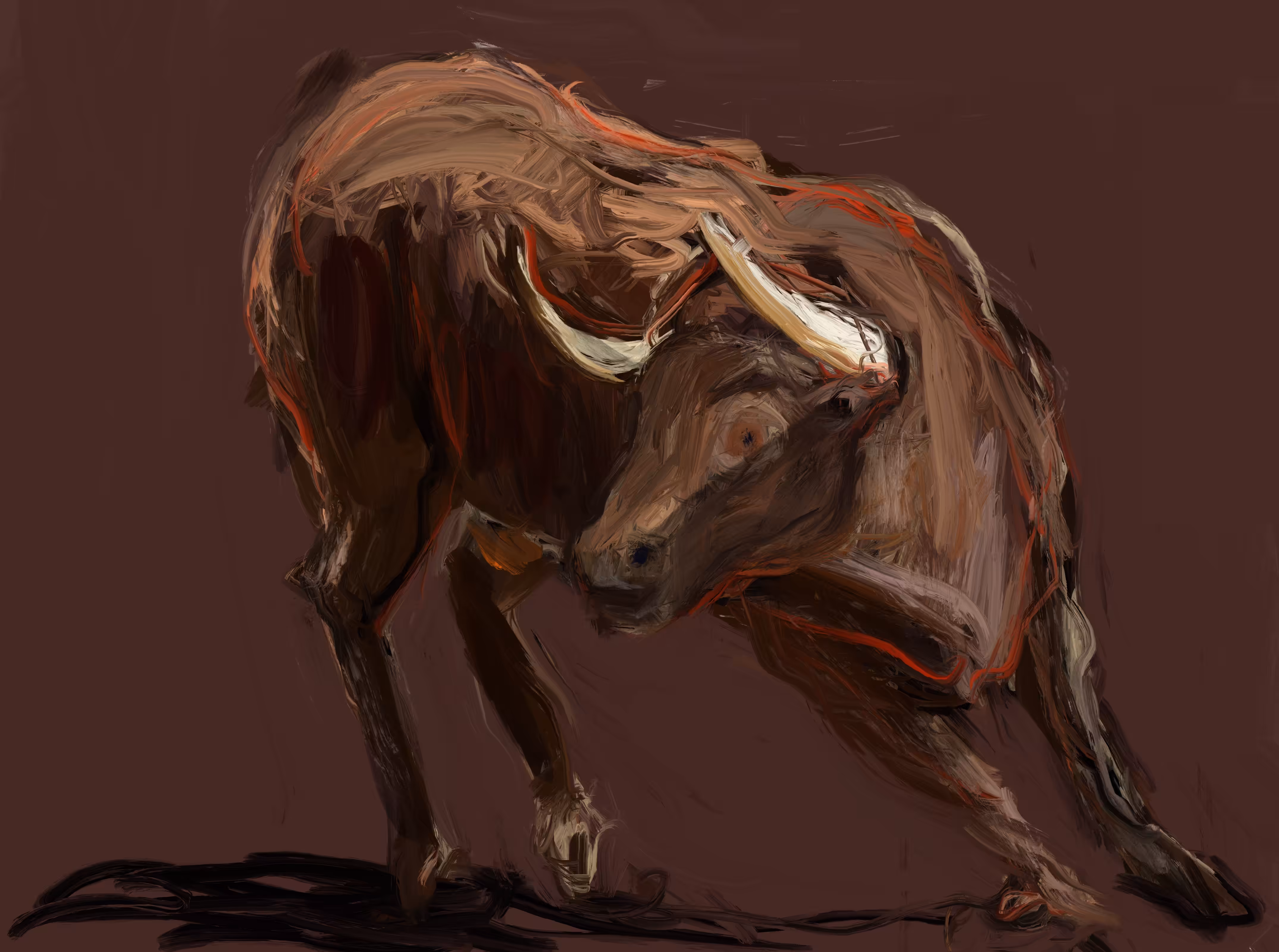 Bull Study