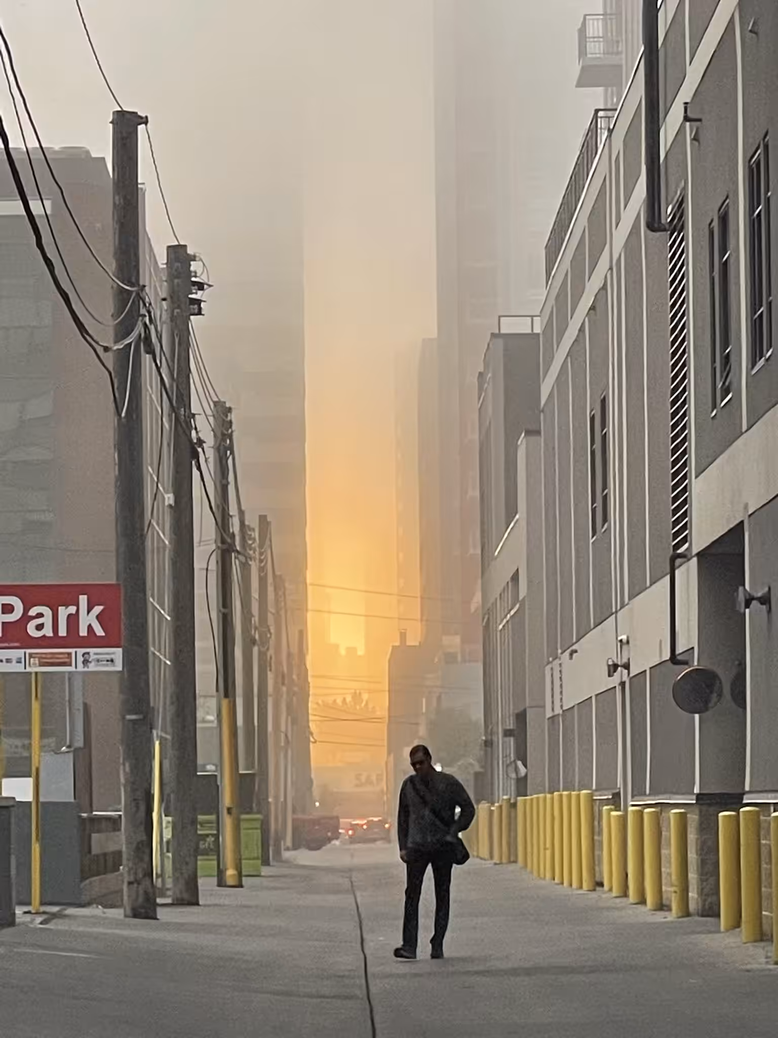 MYSTICAL MORNING, 2022