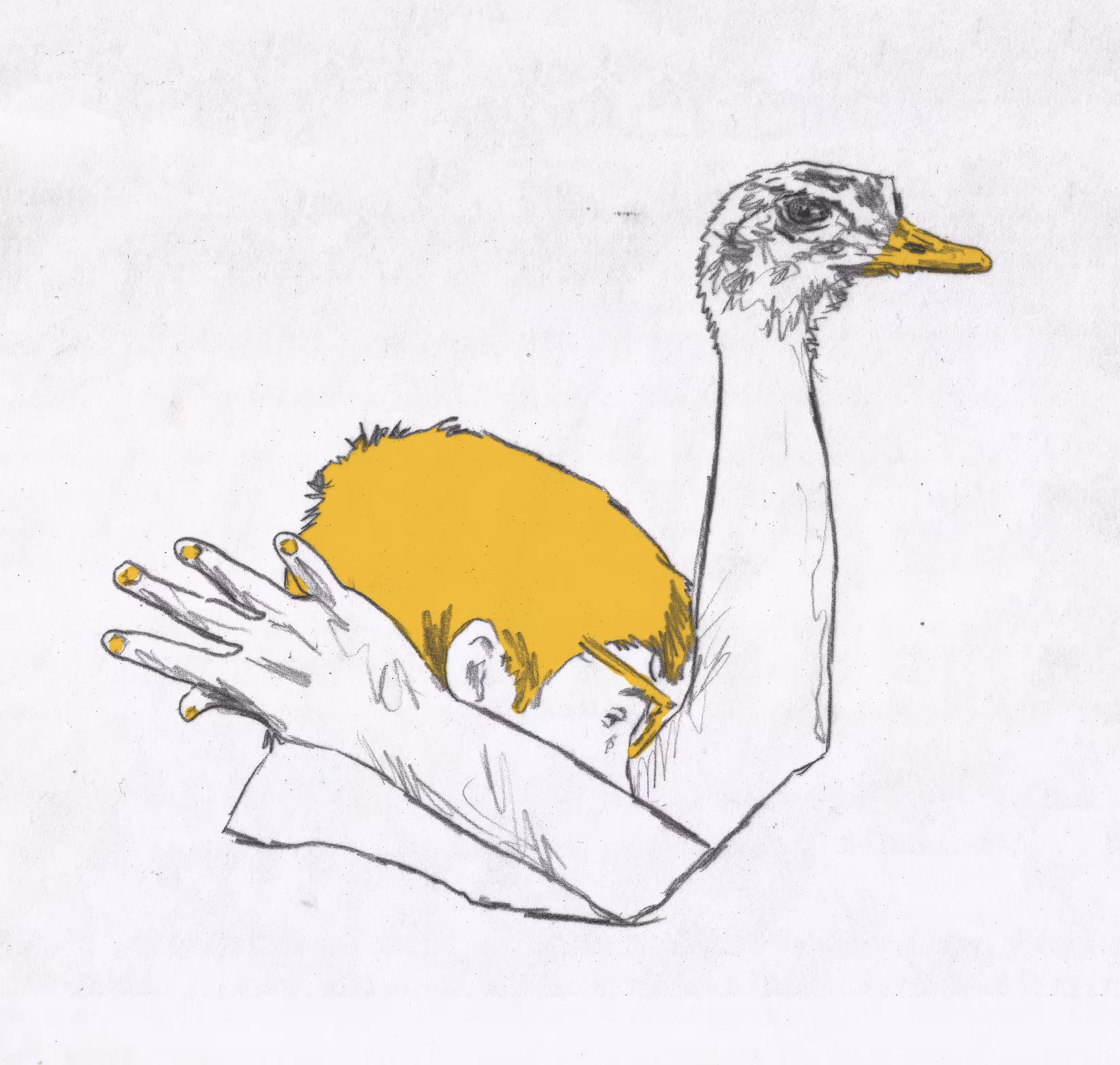 another goose 