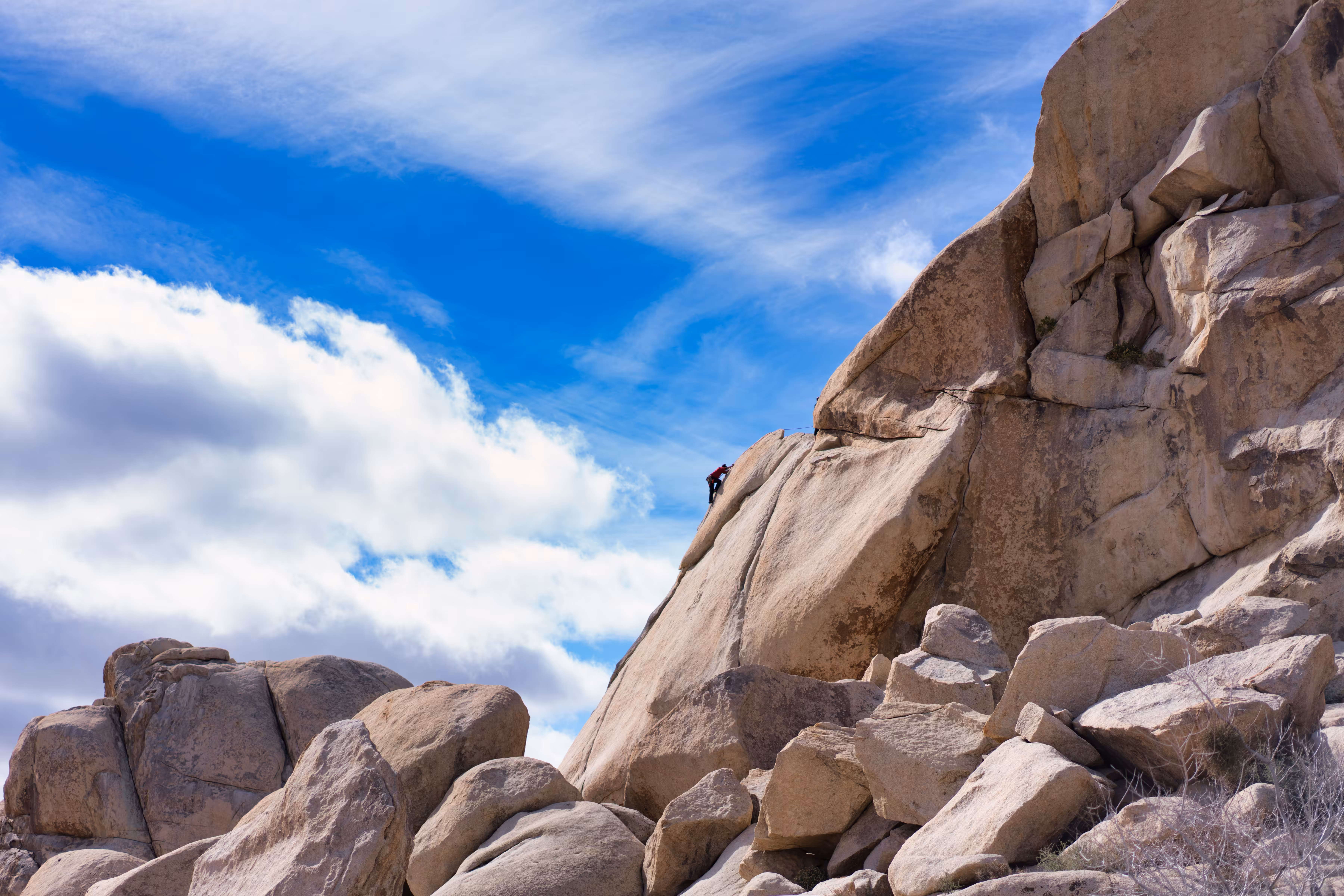 PRIDE ROCK