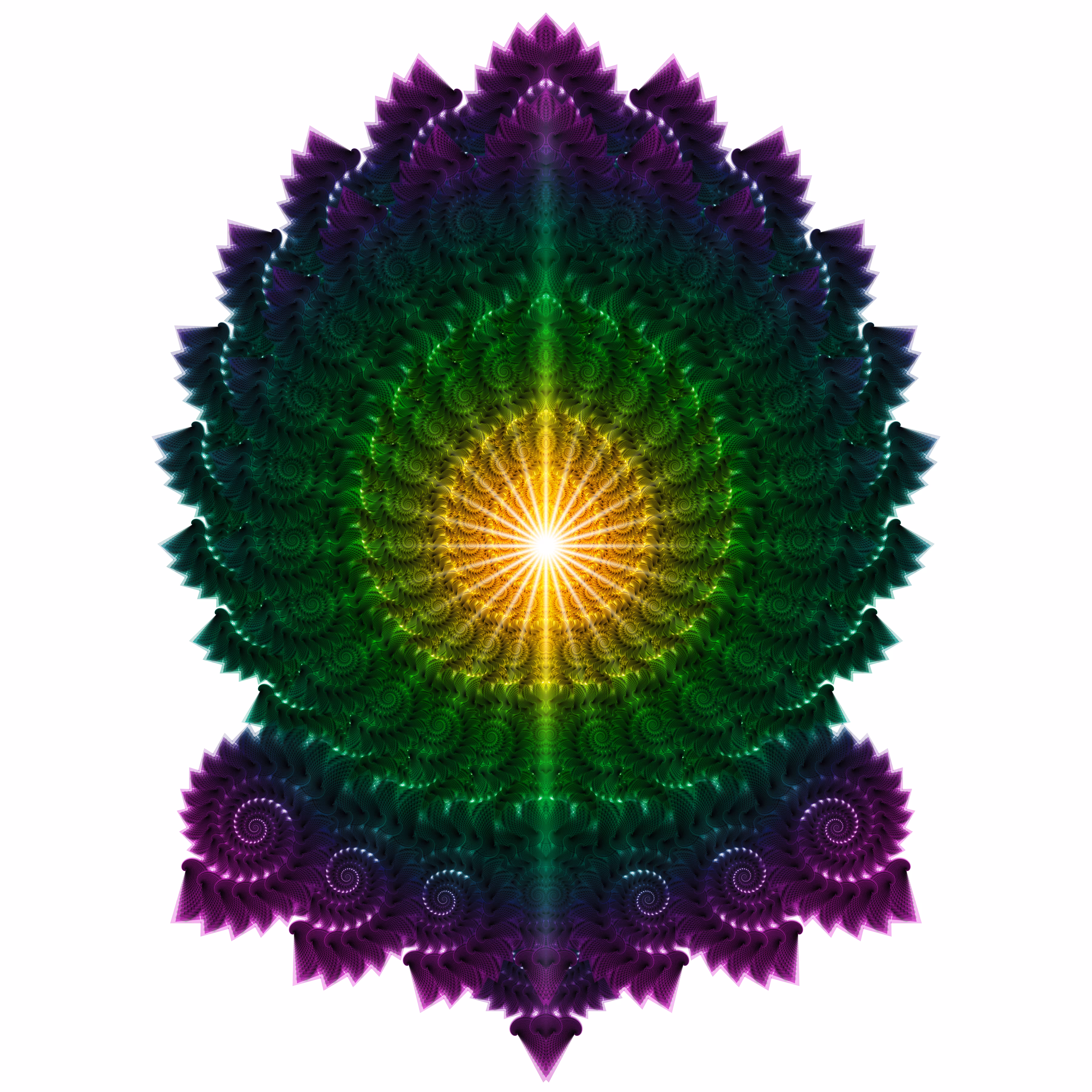 Fractalgasm