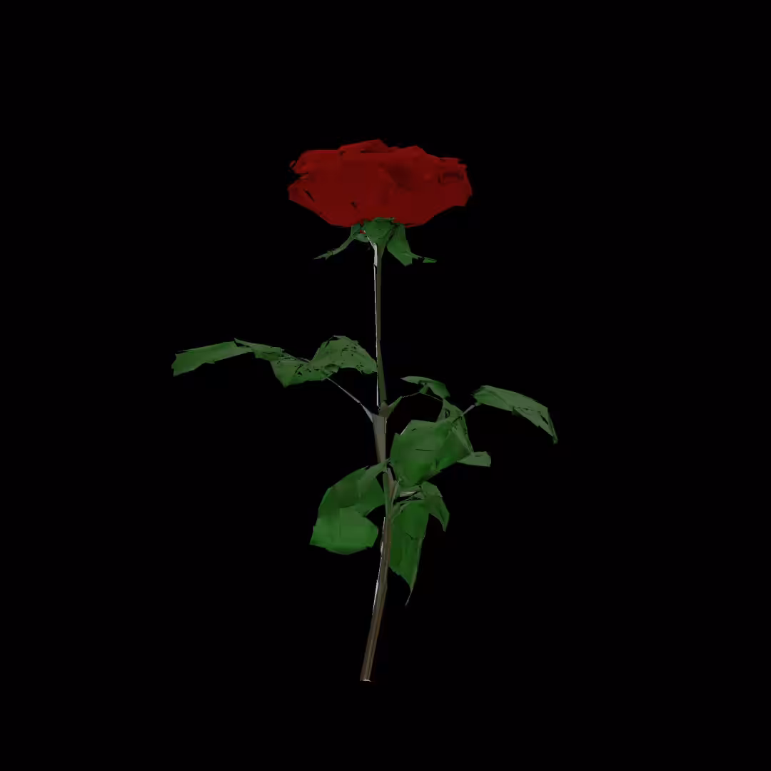 roʊˈzeɪʃi