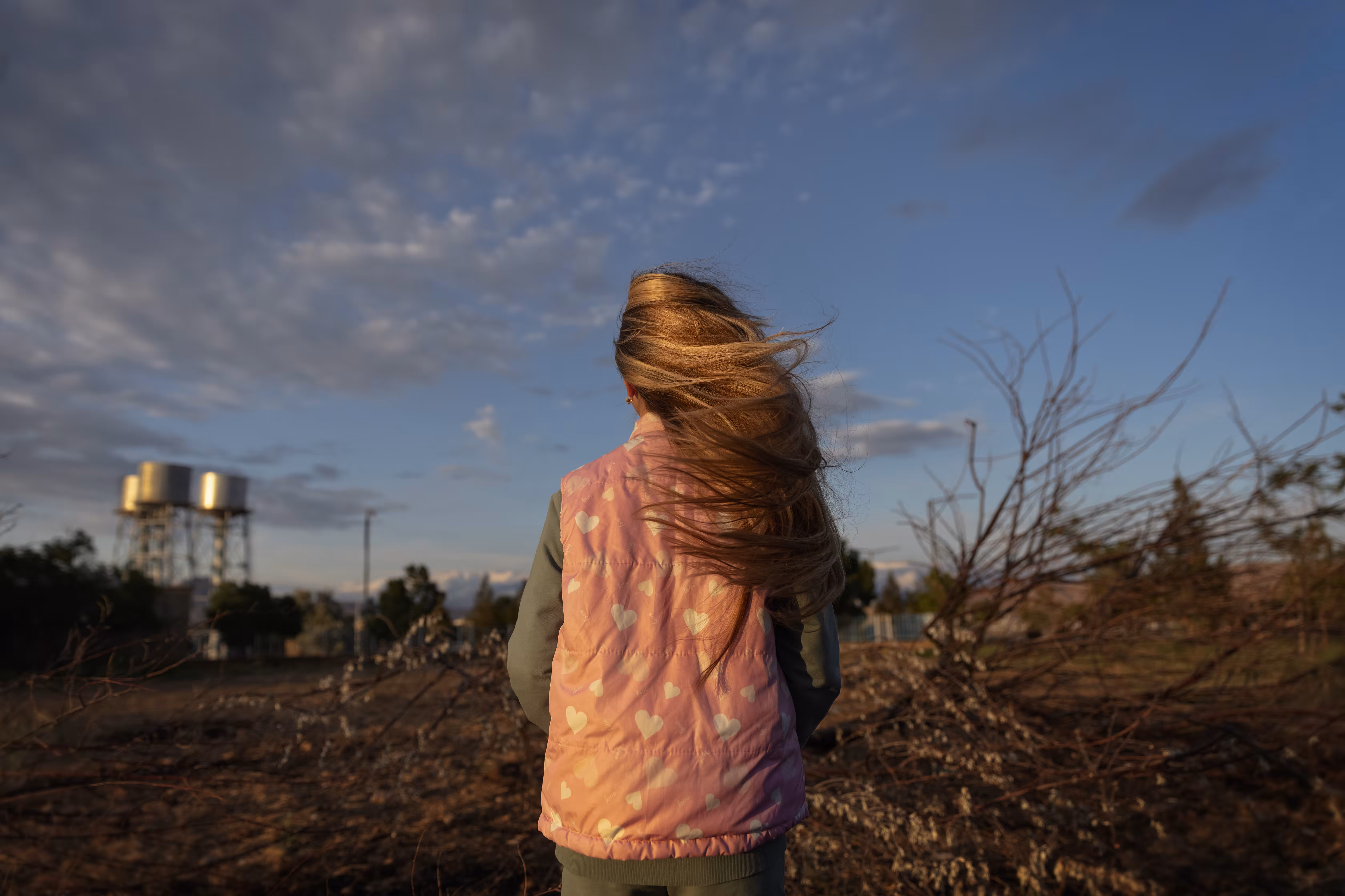 Wandering in the wind