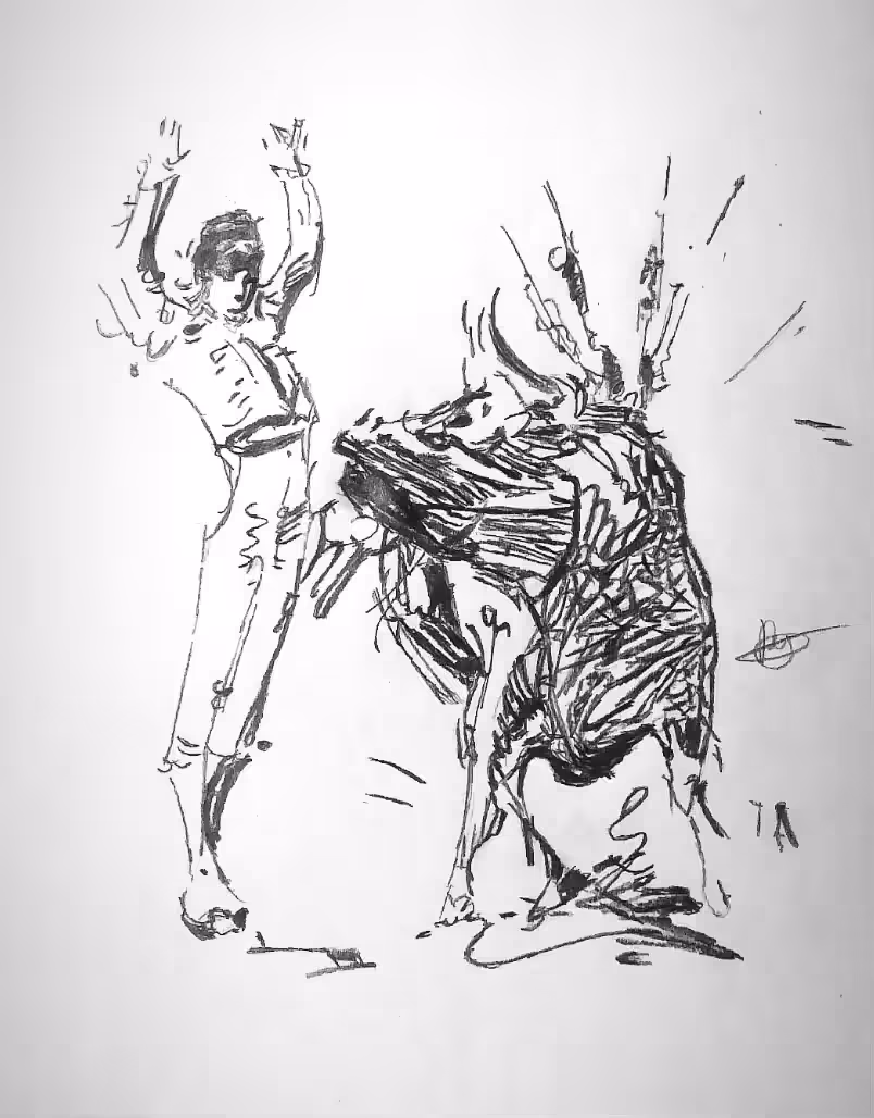 Bullfighter - timelapse