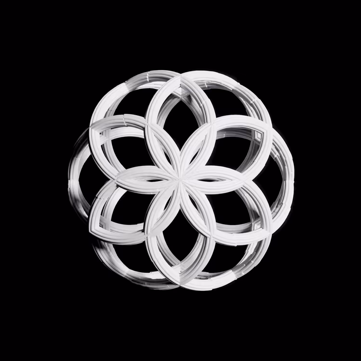 Morphotorus