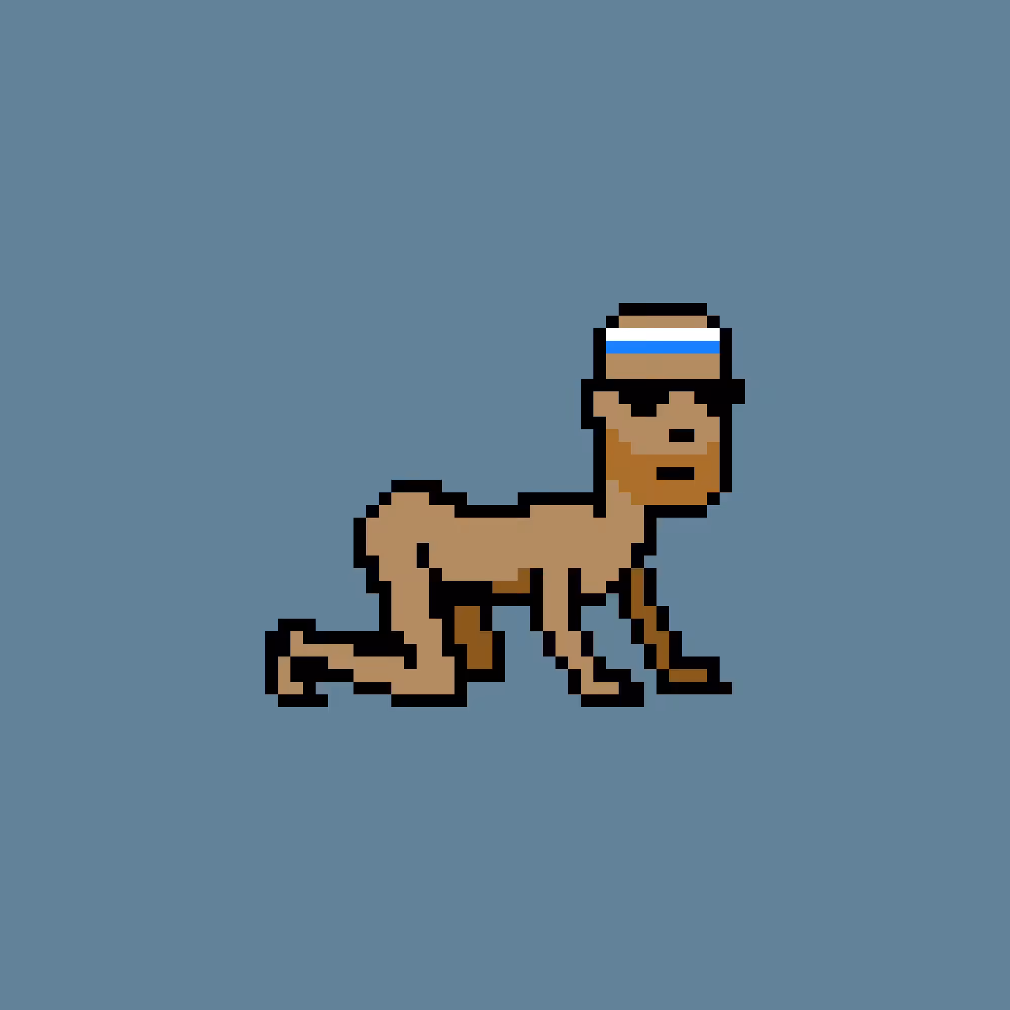 CrawlingPunk #9120