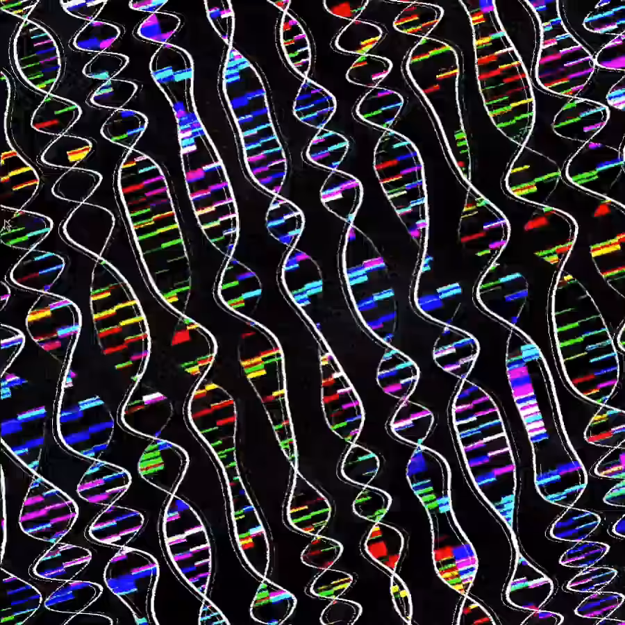 200705 DNA Mutation