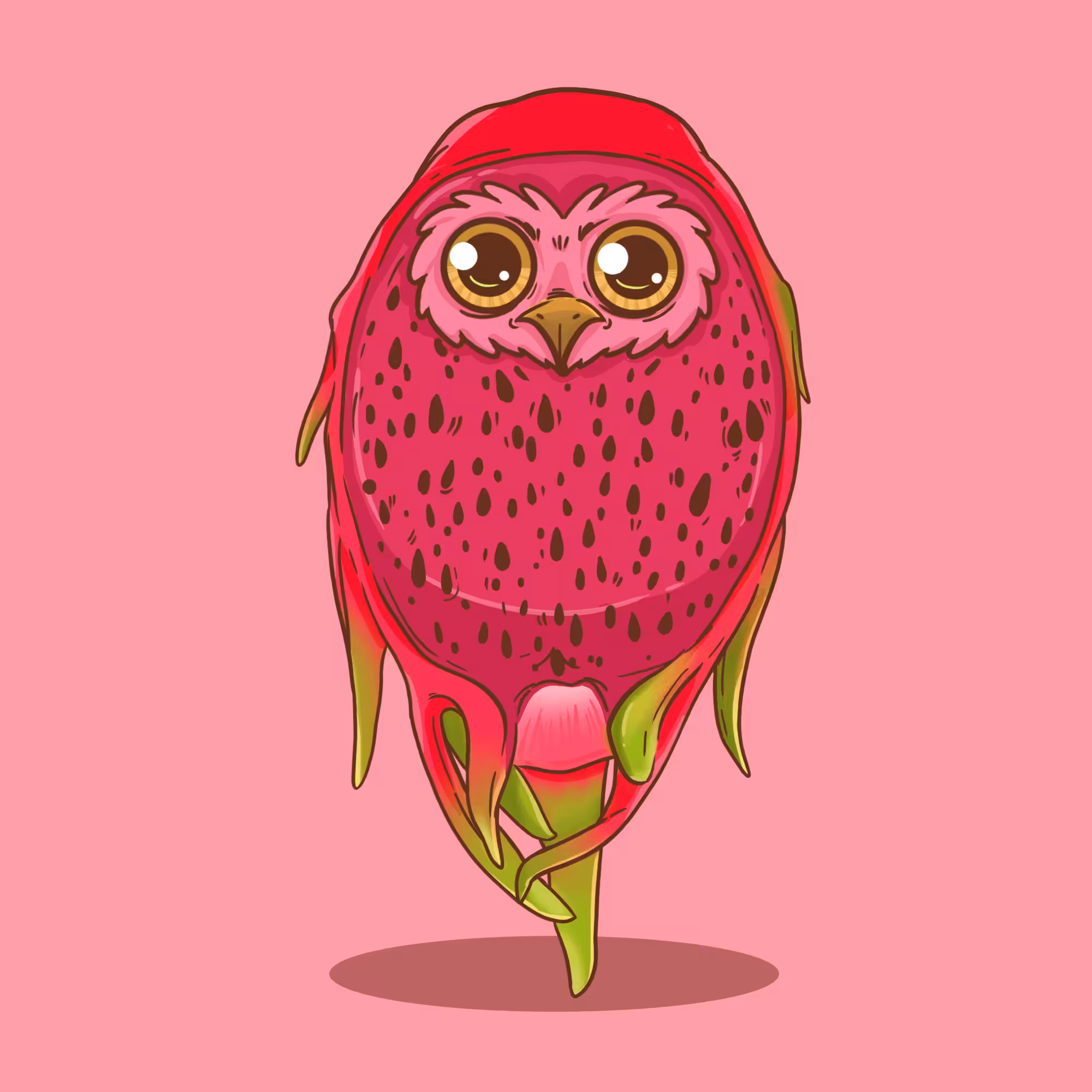 OWL MY FRUITE 03