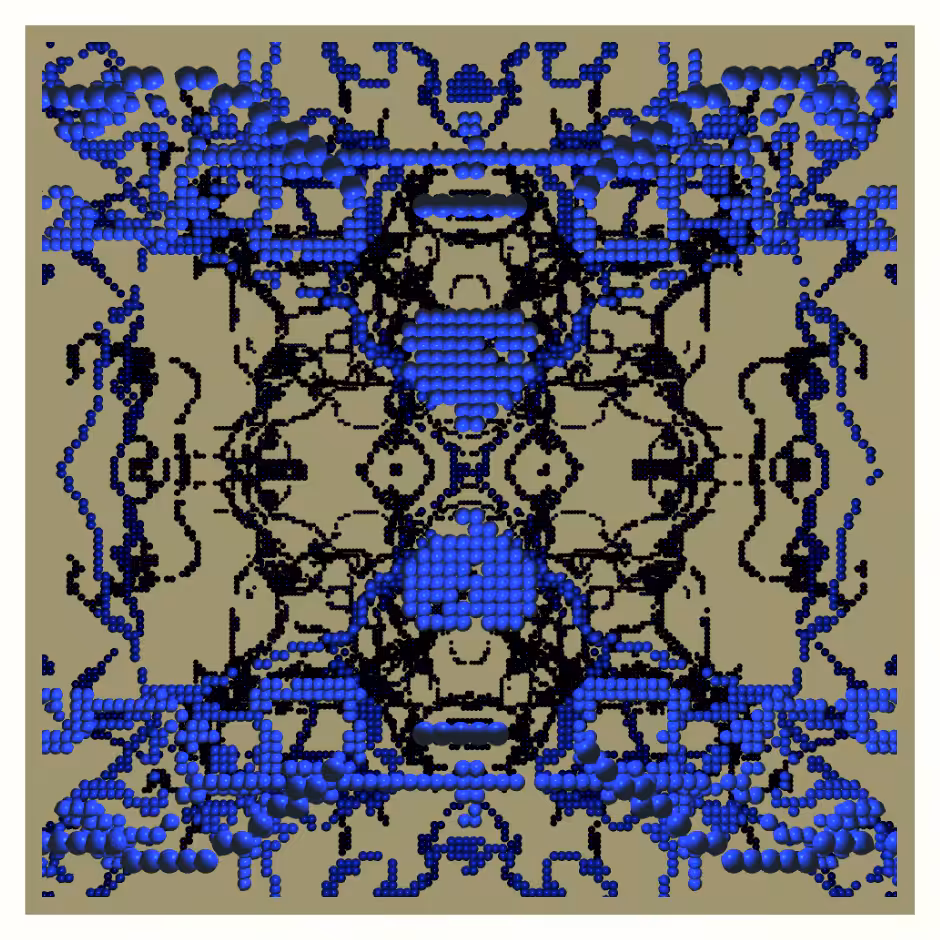 X-Form #81