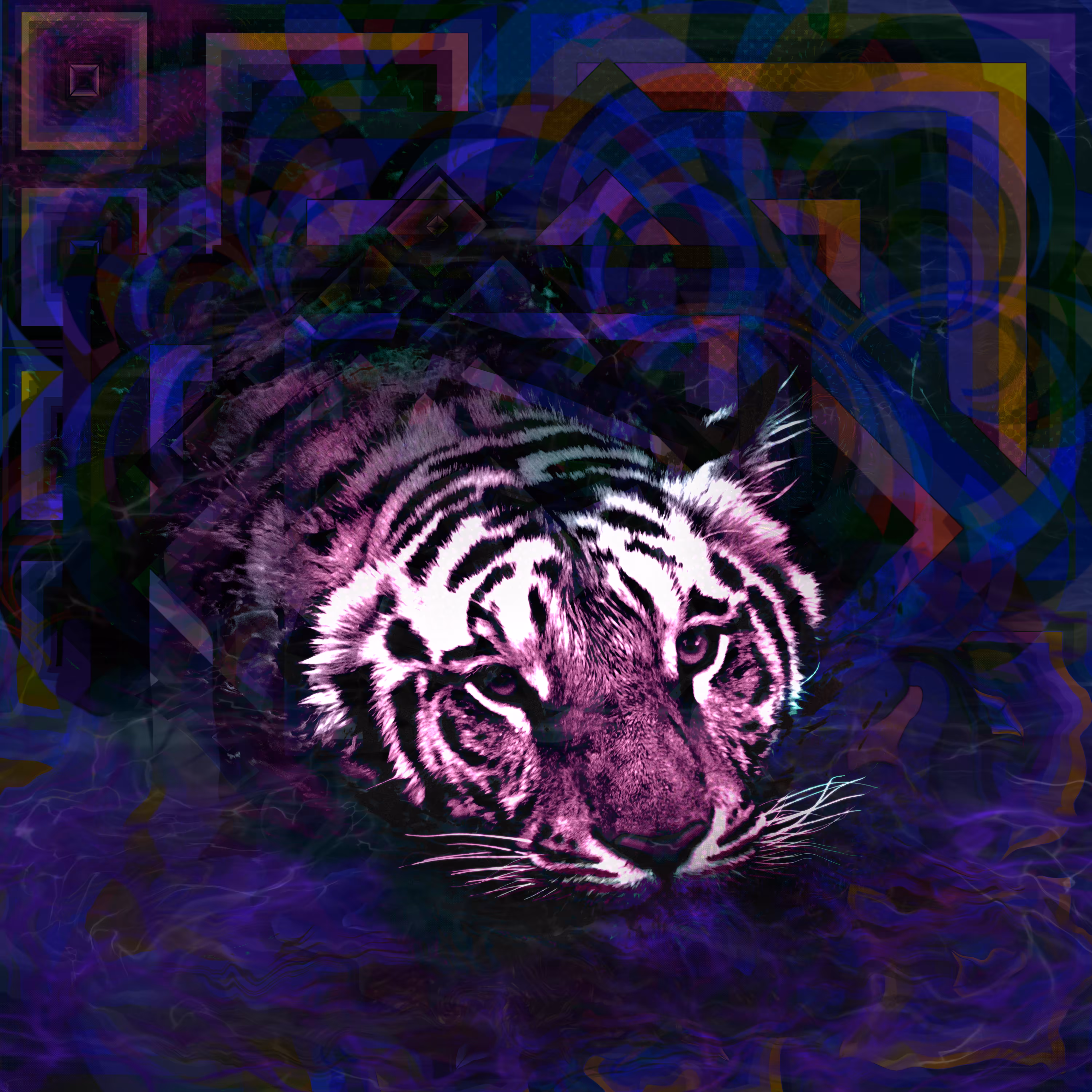 The Year of the Black-Water Tiger