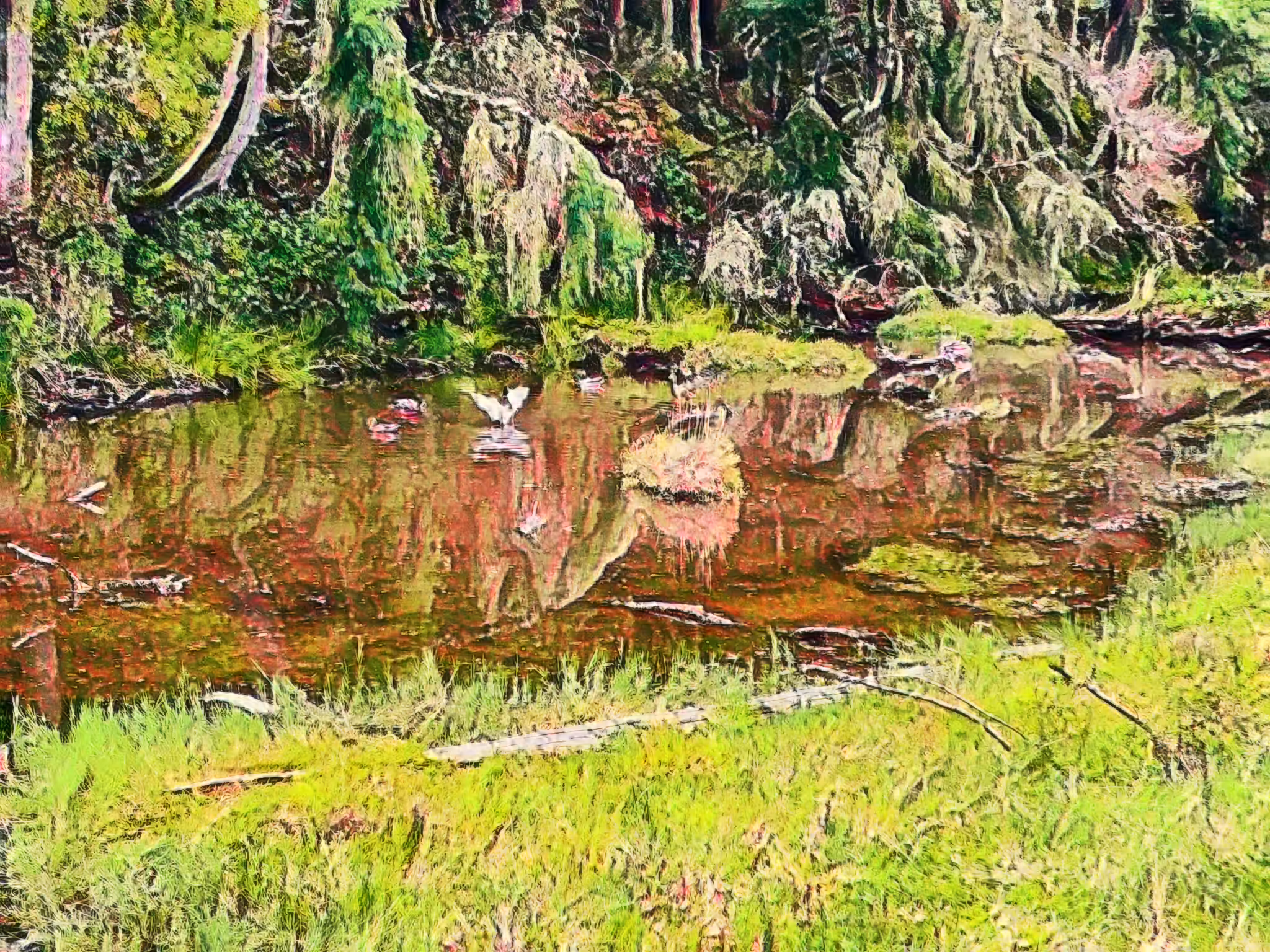 A Monet Kinda Day