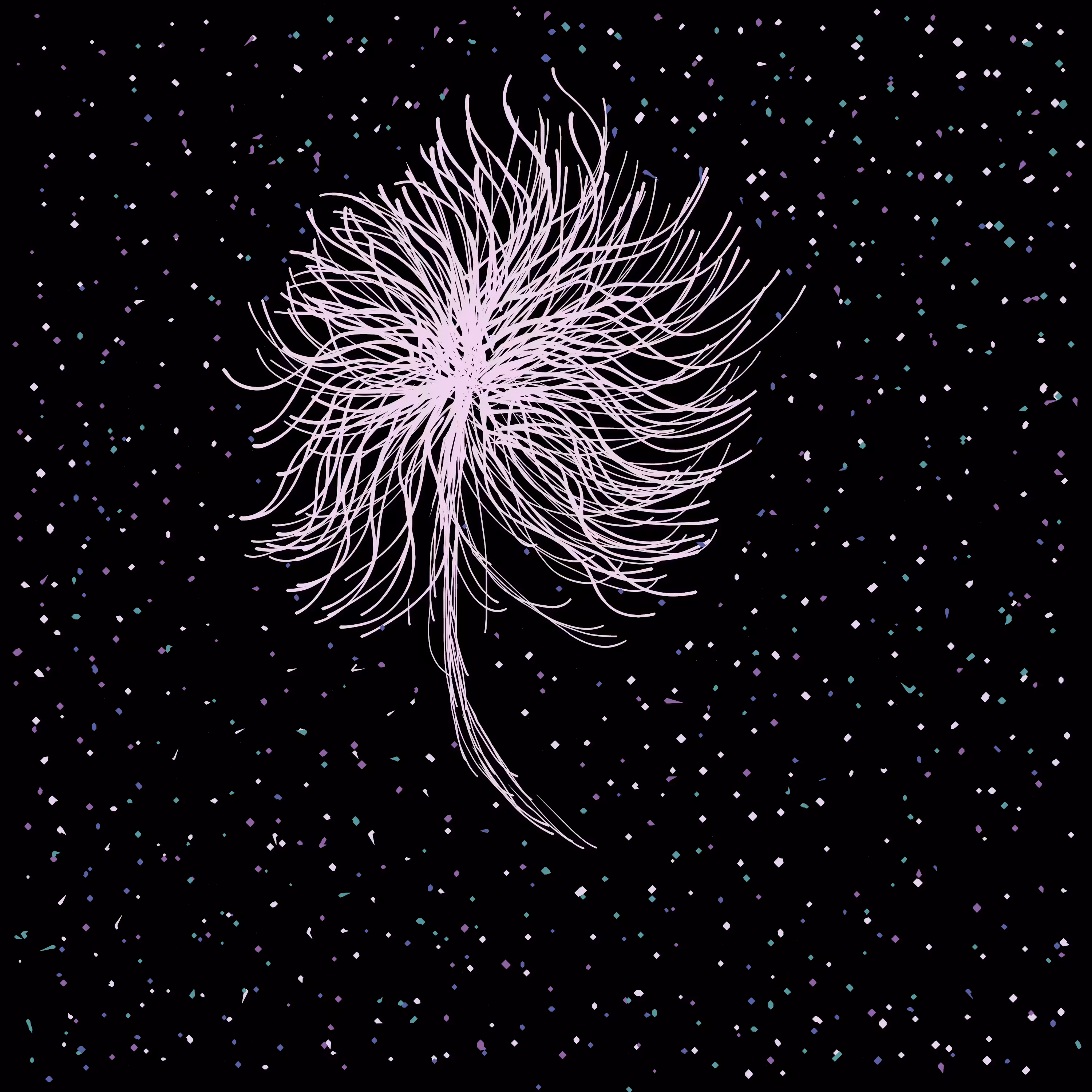 #15 Dandelion