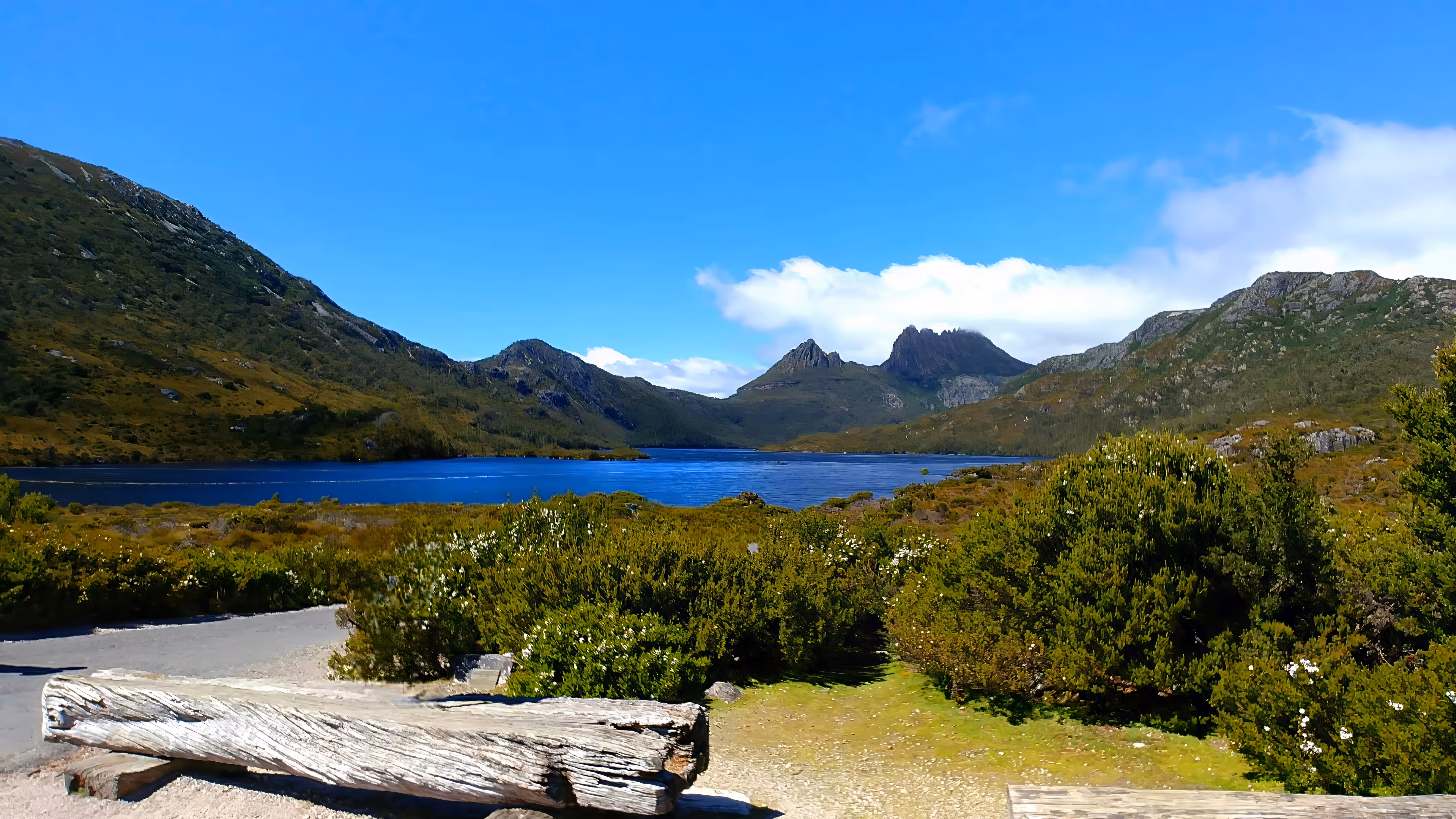 Cradle Mountain's Wild Embrace