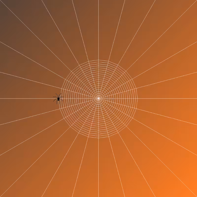 Weaving Spiders #4