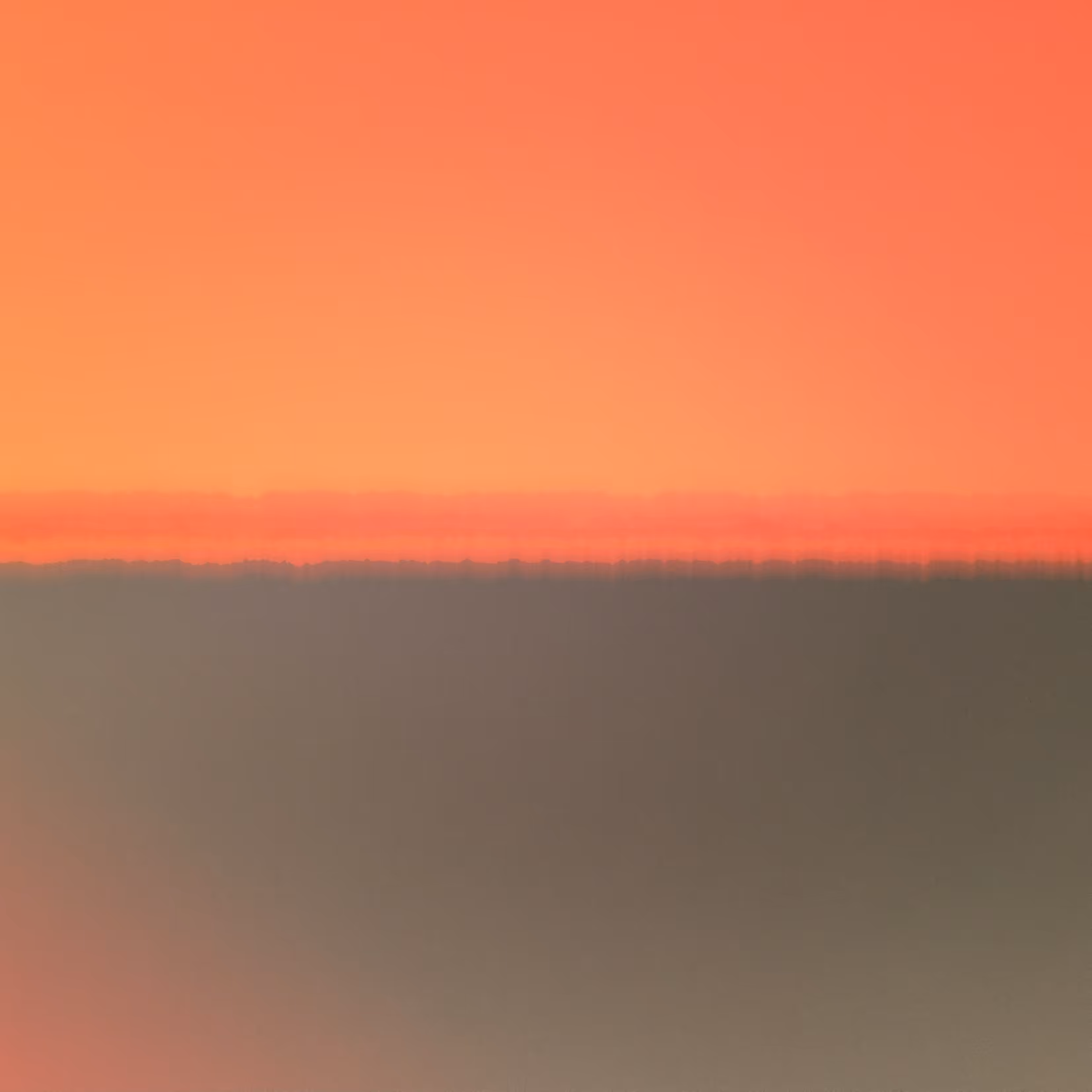 Imperfect Shorelines #5