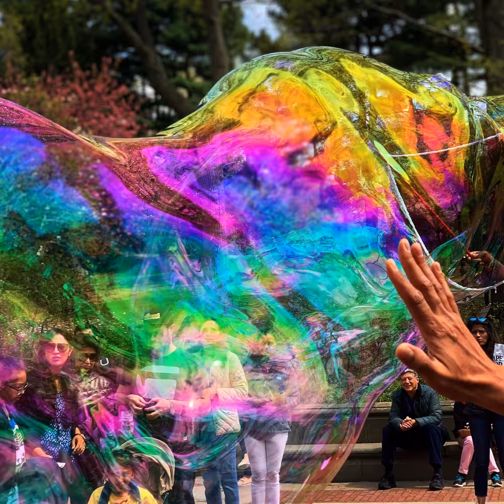 Bubbles are for Everyone