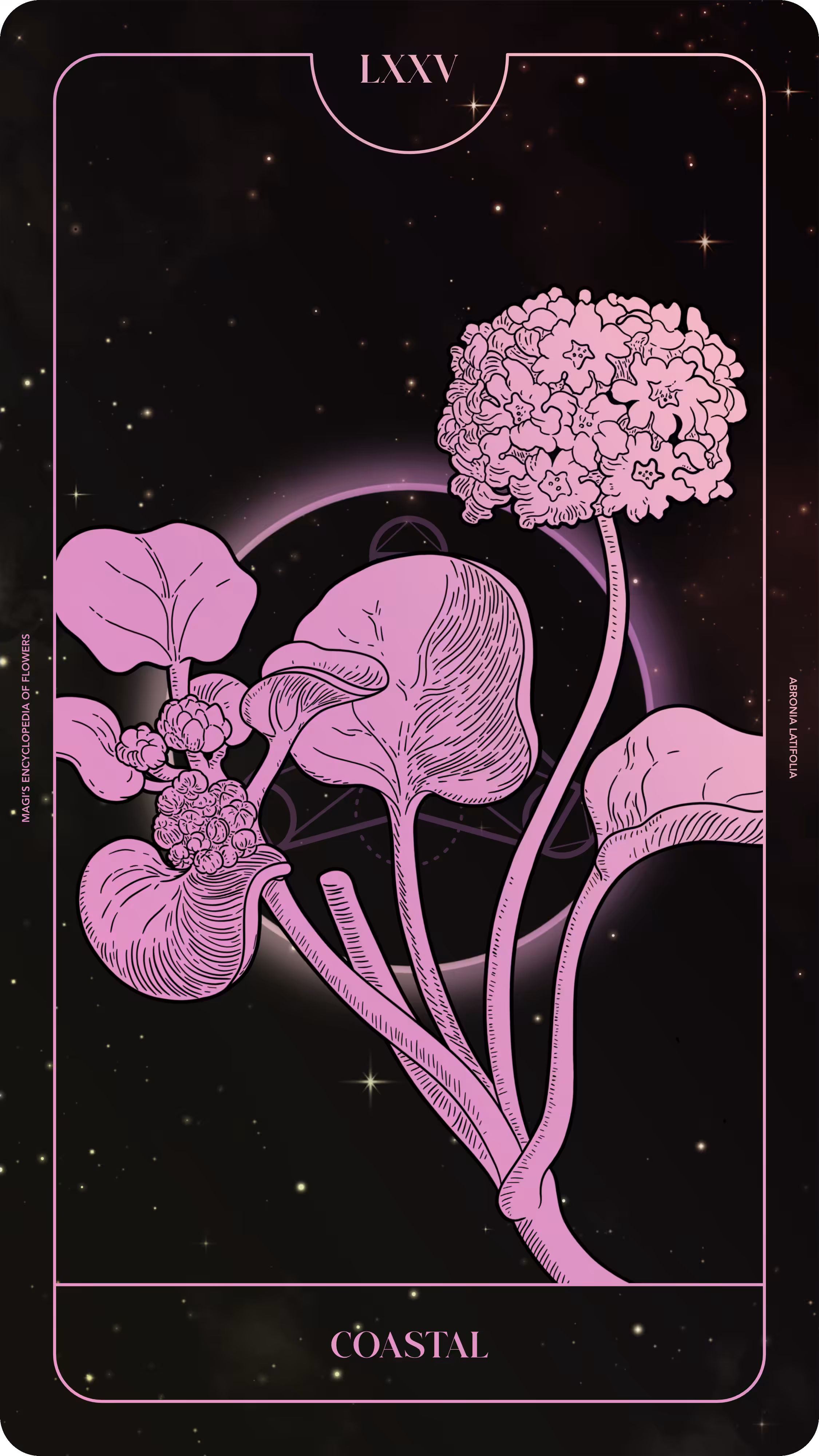 Magi's Encyclopedia of Flowers: 075 Coastal