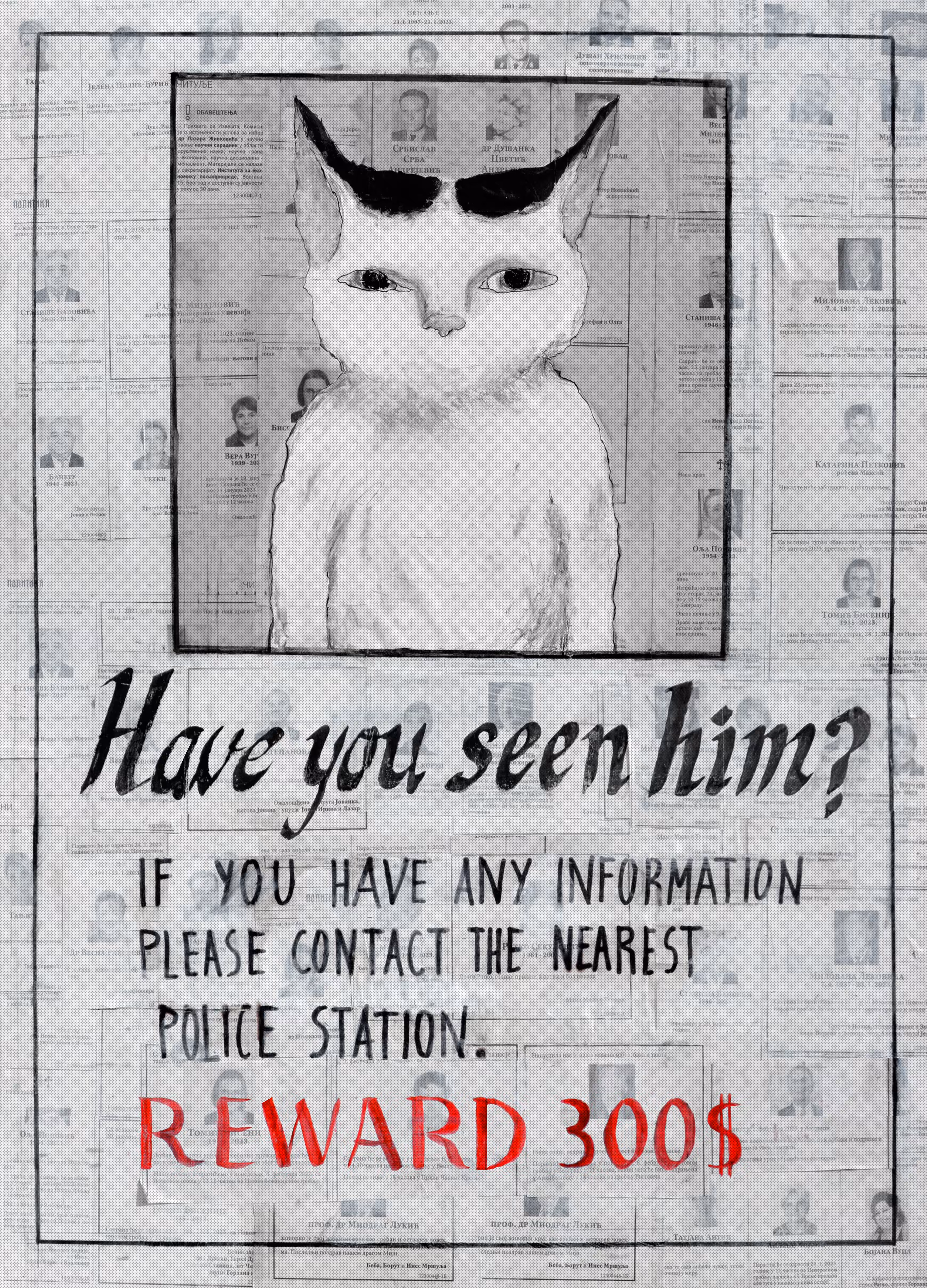 Have you seen him?