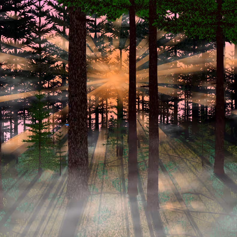 Forest Sunrise #38