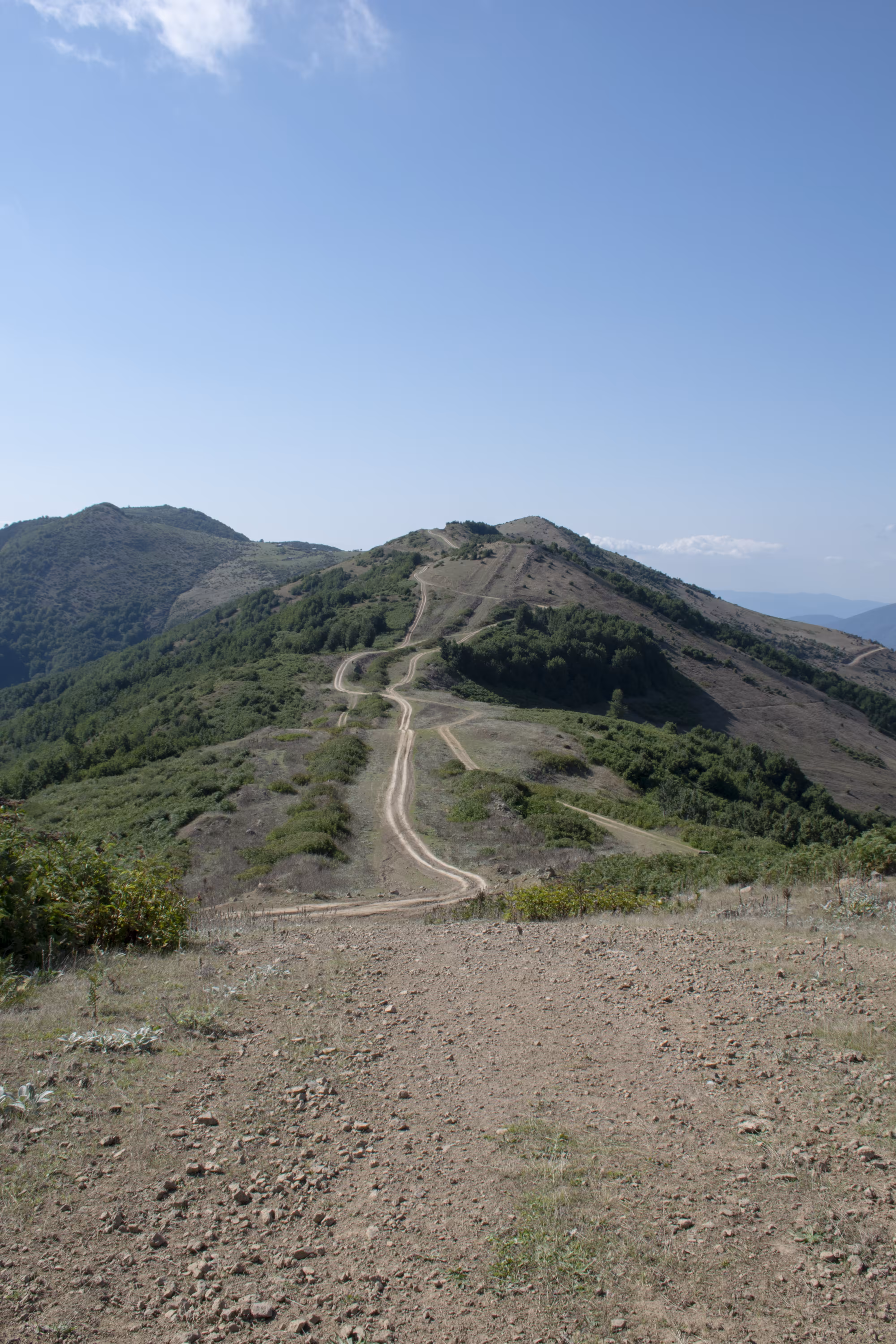 The Path