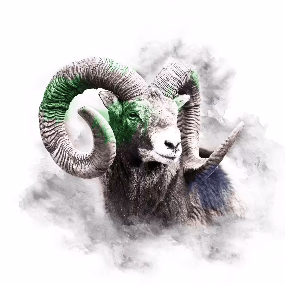 GREEN SERIES - RAM