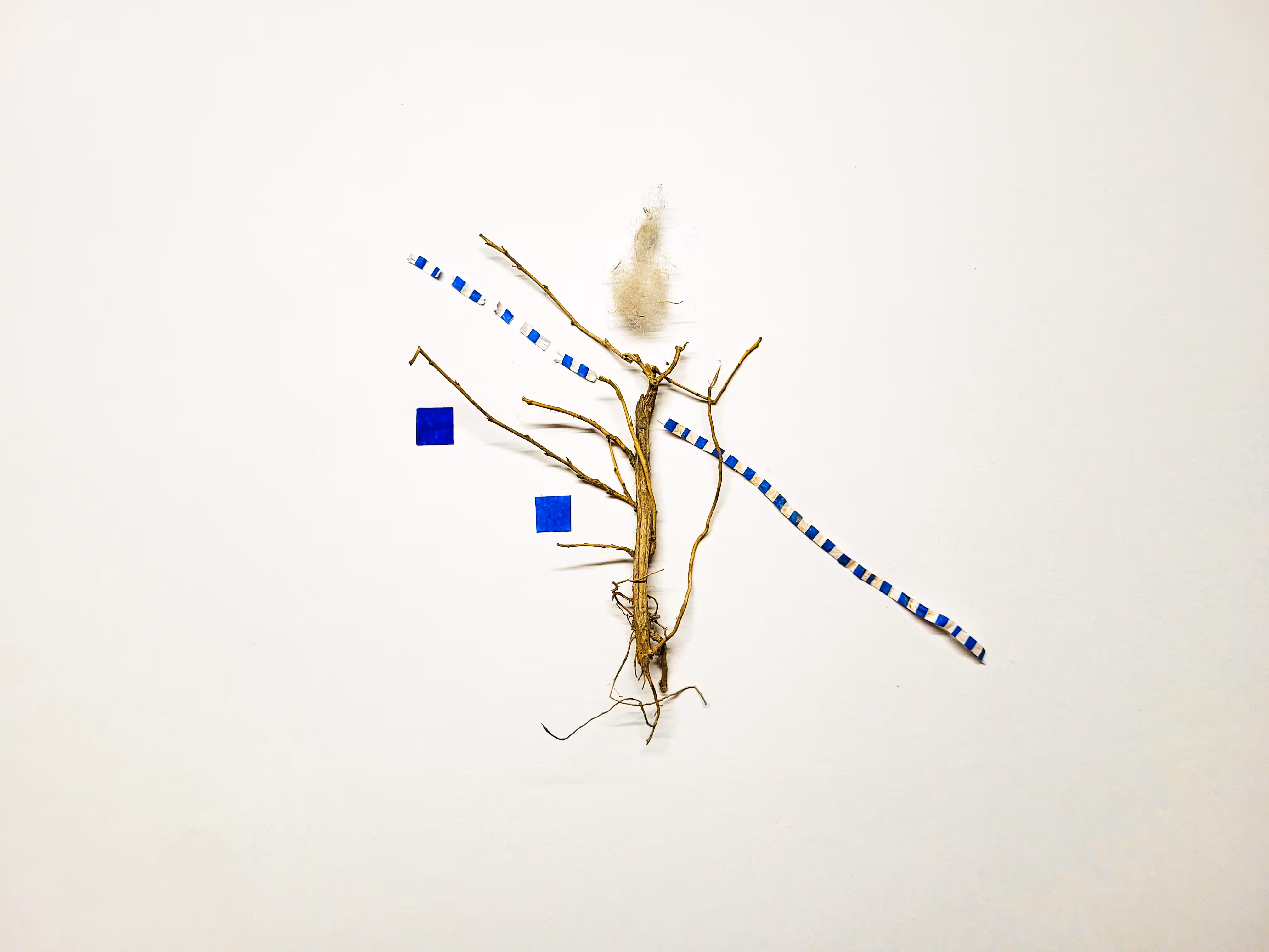 tangled up in blue