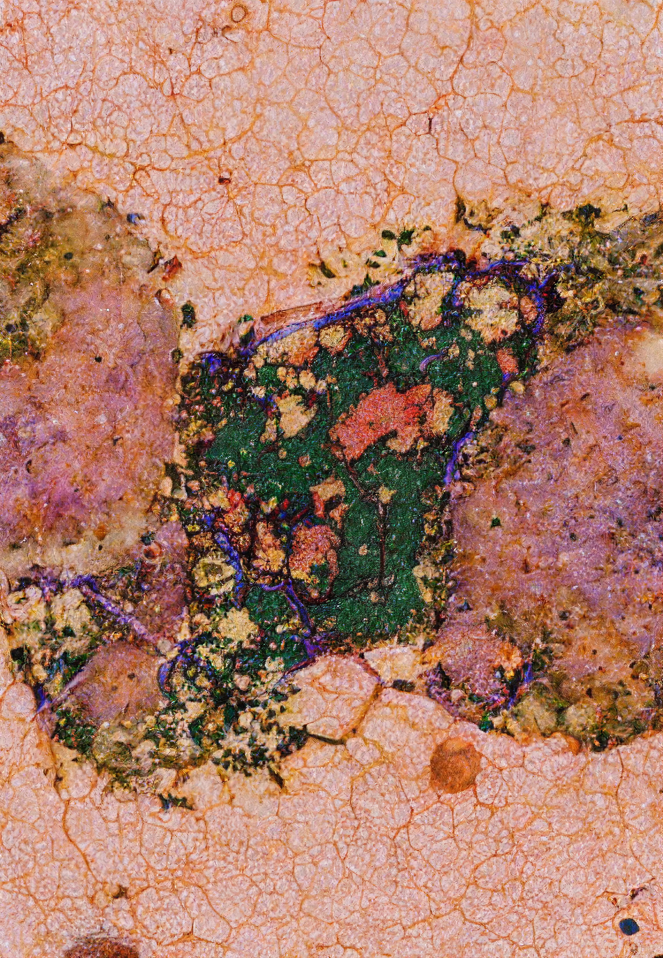 Histologia In Silico #296