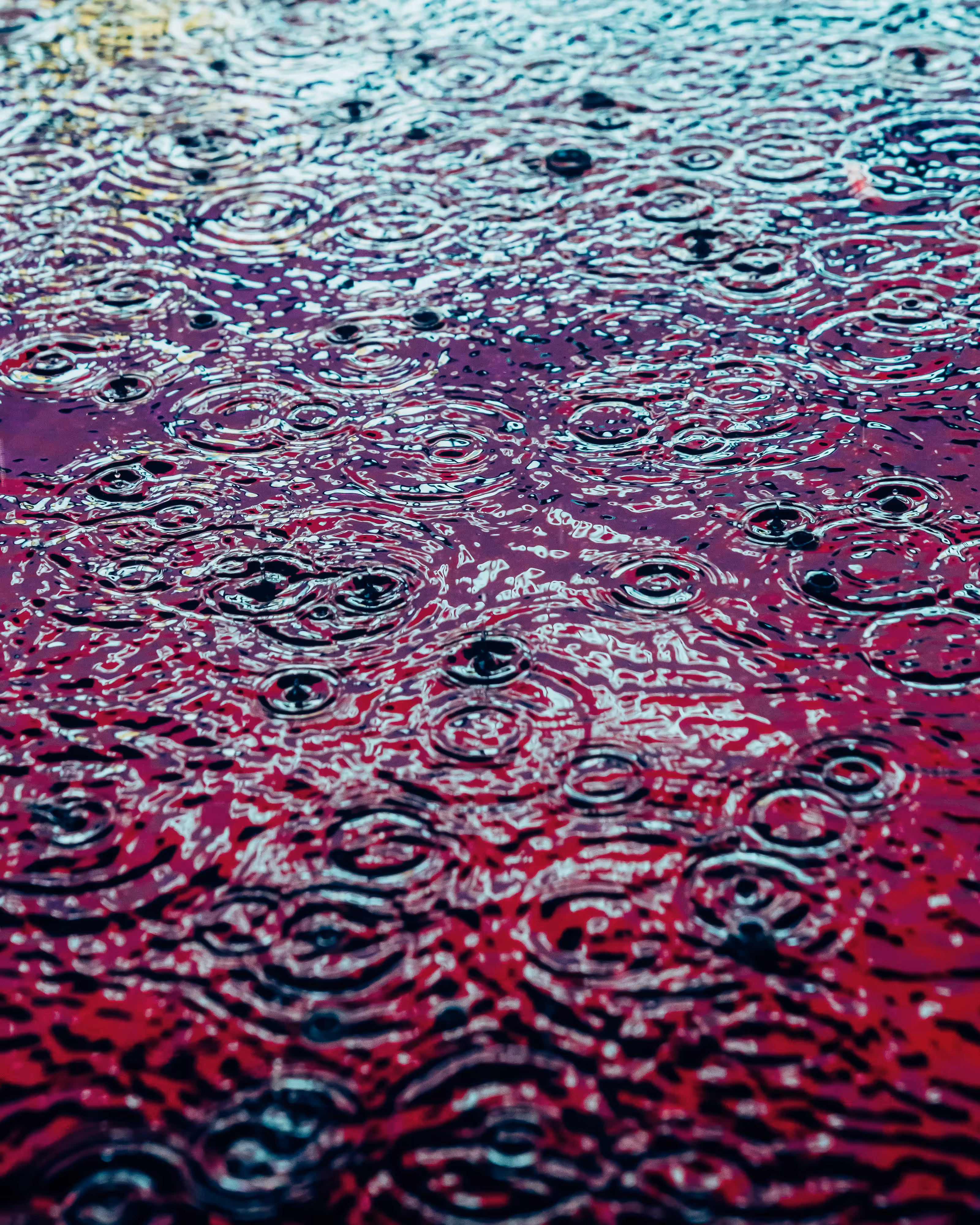 DRIP #592