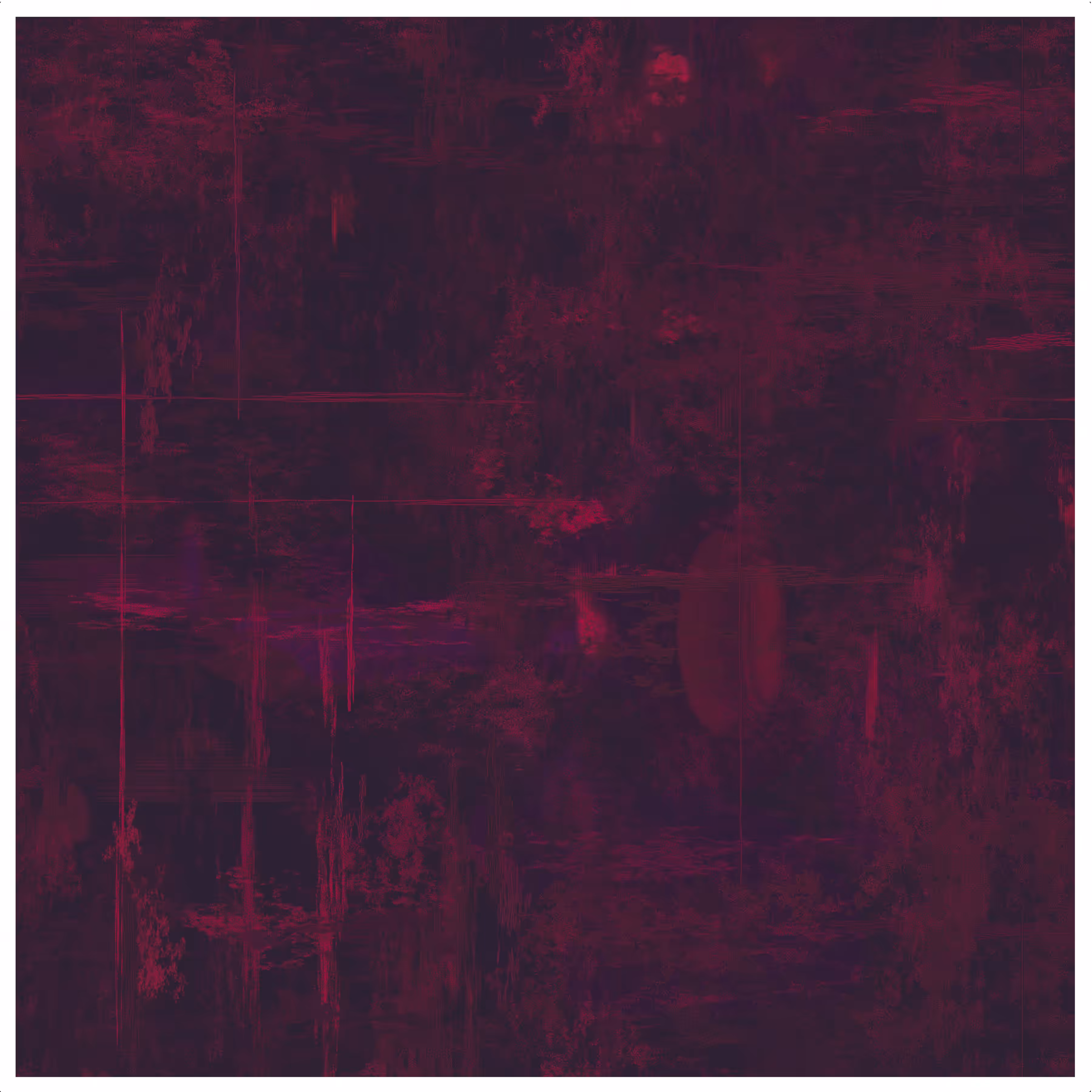 006 - Purple Haze