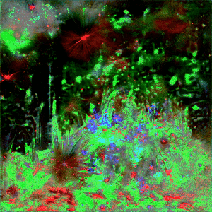 RXALITI #14 [☣️tw!tch-𝒸0x fract!z!ng h@rsh-⚡gl!mmtter!]
