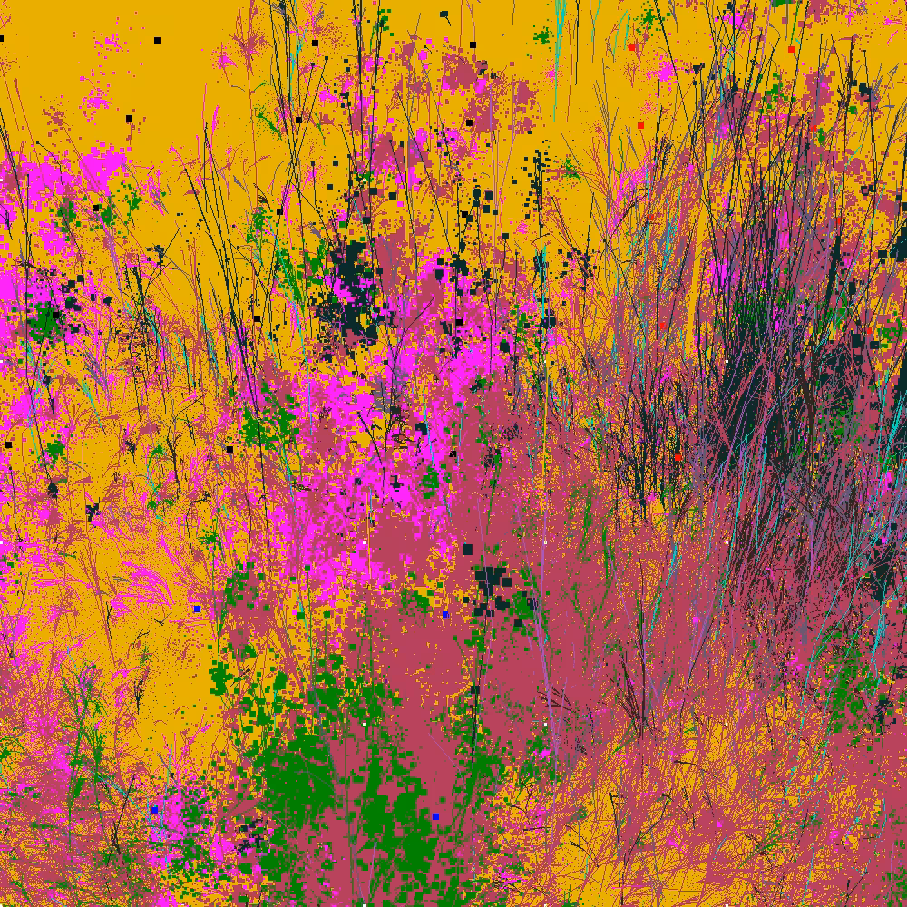 Infinite Garden: 33601 Flowers