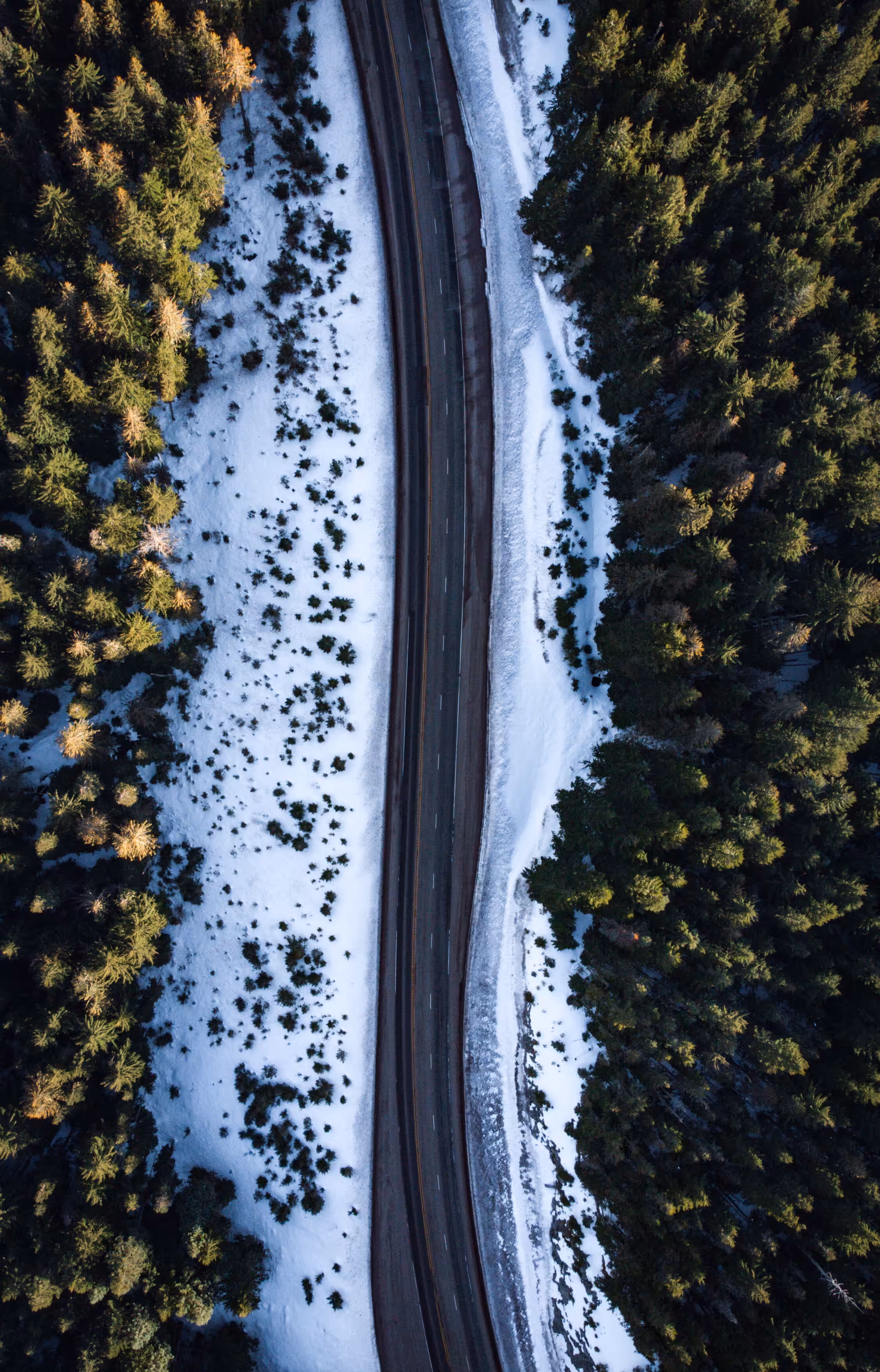 Winter Wonderland - #17
