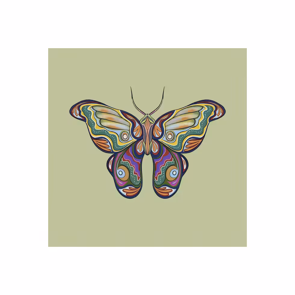 The Moth Experiment  #29