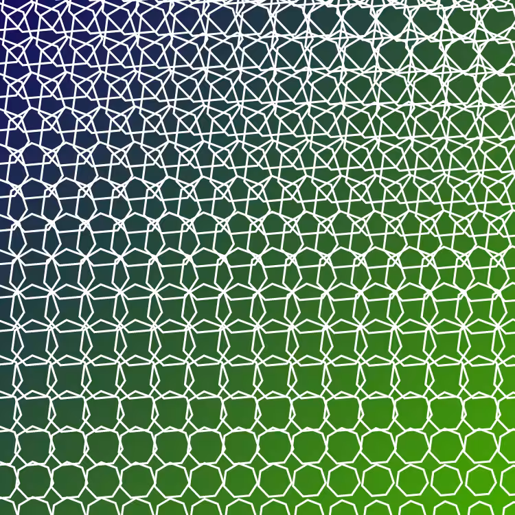bilinearInterpolationTwist #58