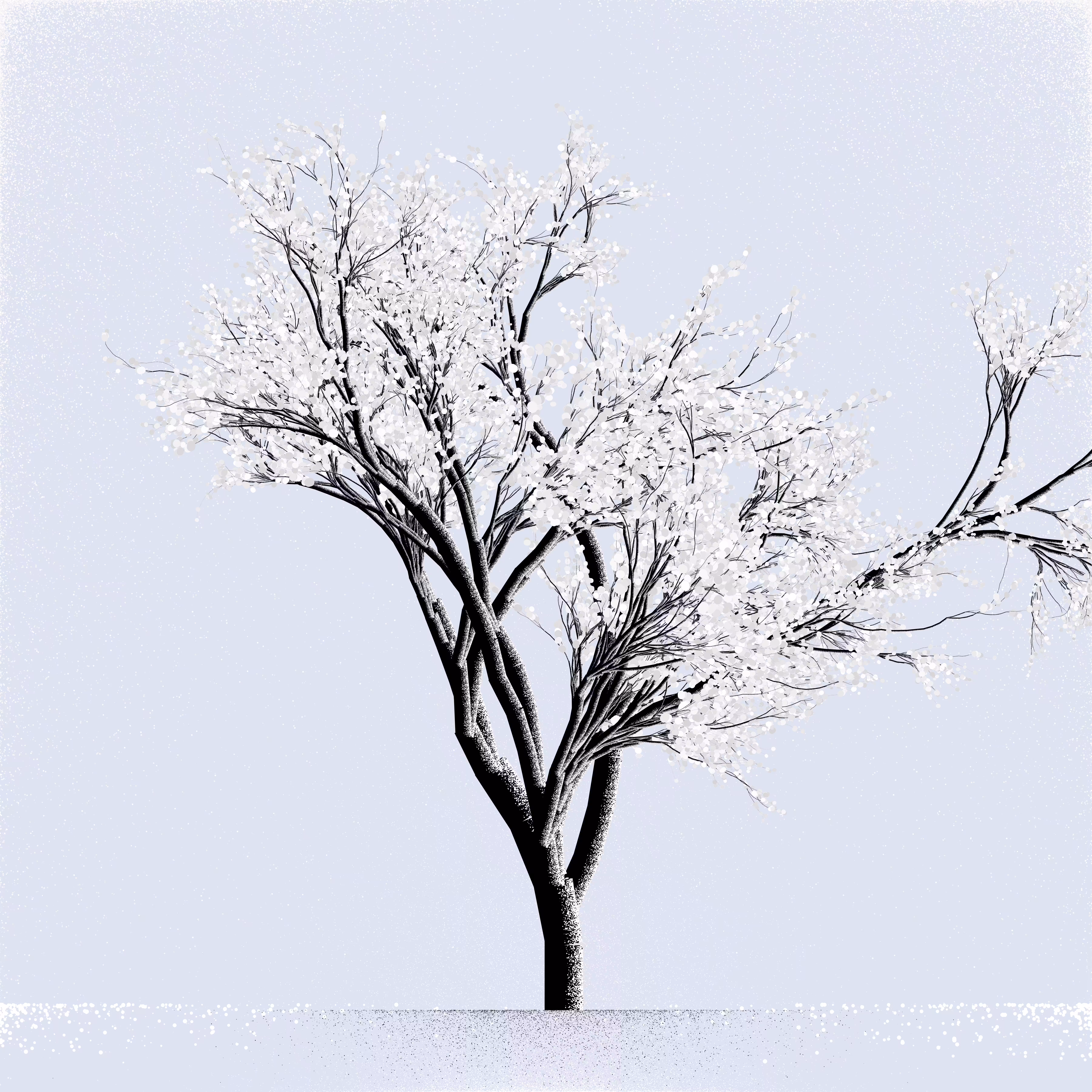 Snow Tree #34